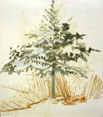big_LD140Spruce.jpg