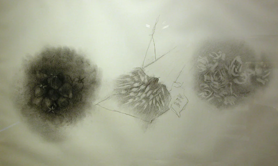 LM608_Fraises.jpg