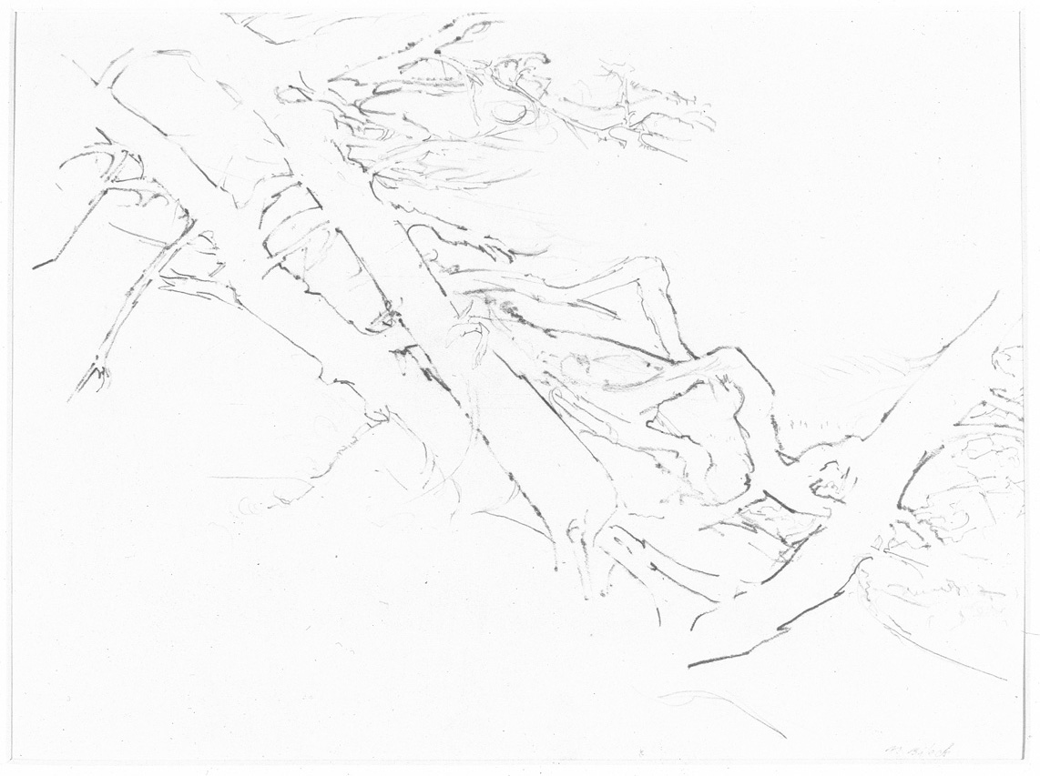 MB17_TreesUprooting.jpg