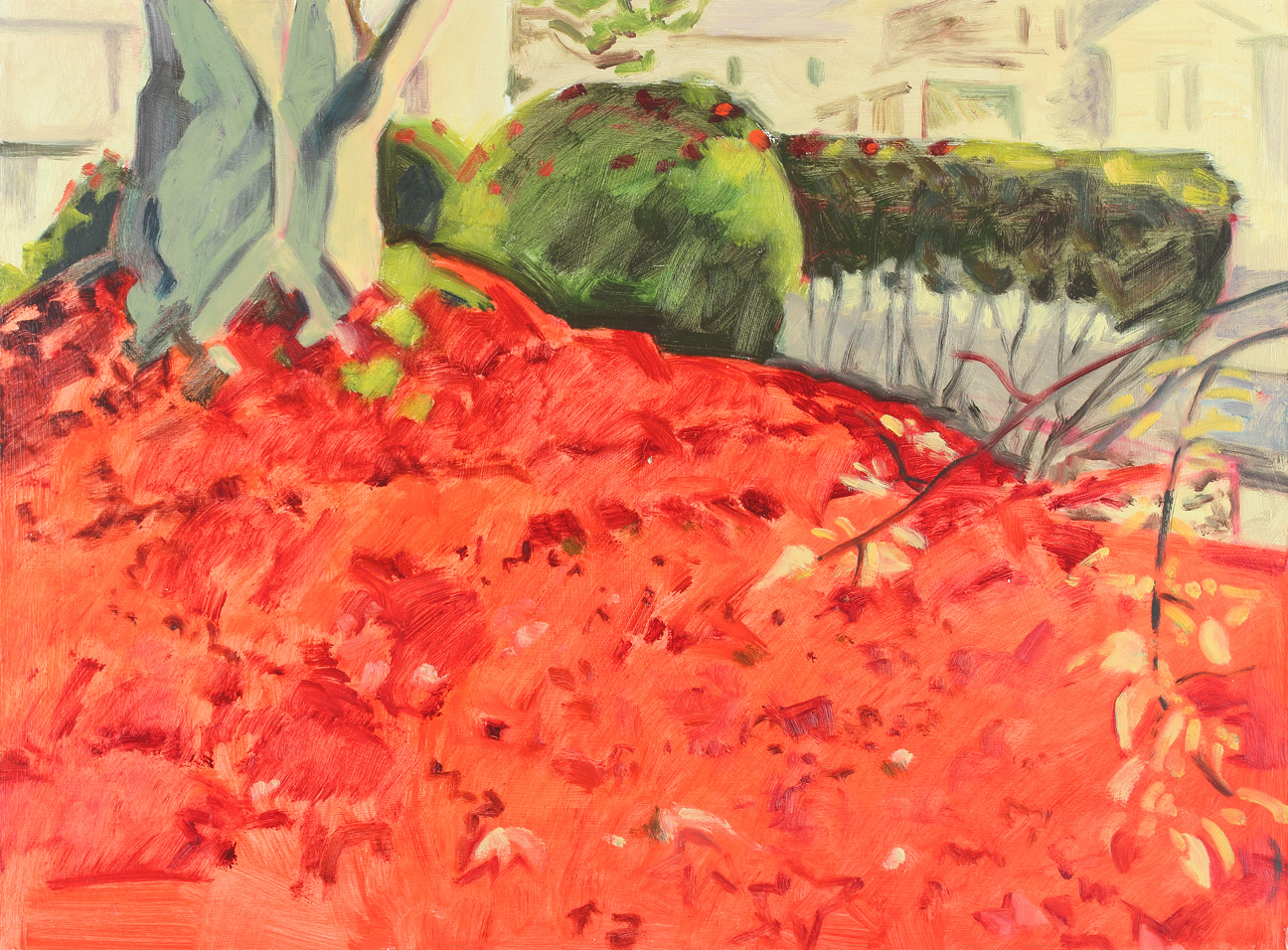 Red Maple