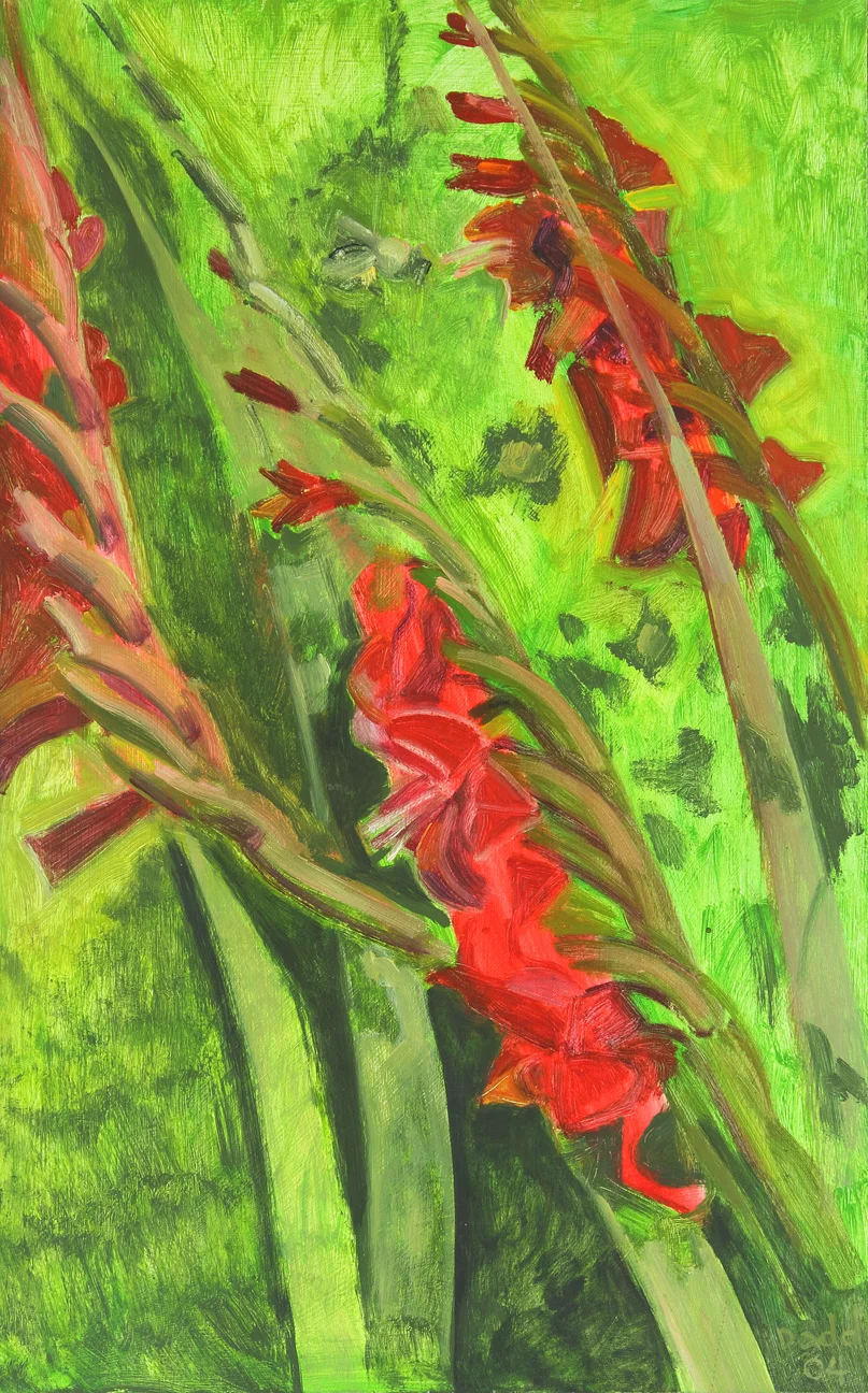 Red Gladioli