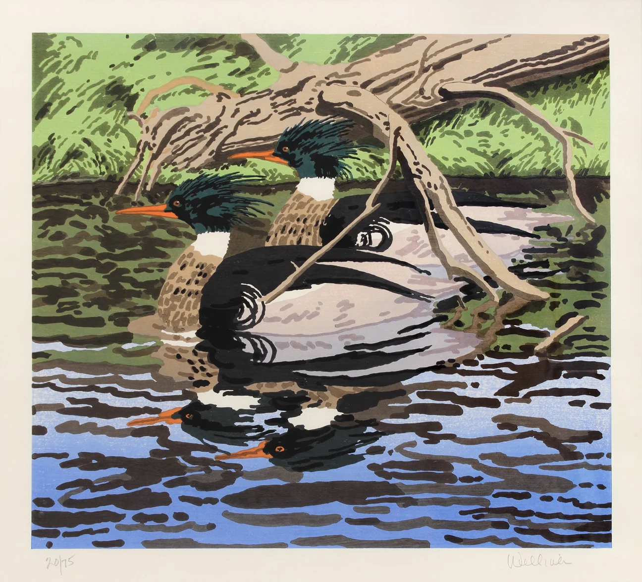 Two Mergansers