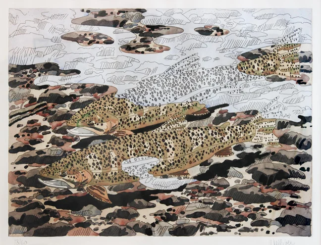 Trout and Reflections