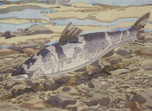 Salmon