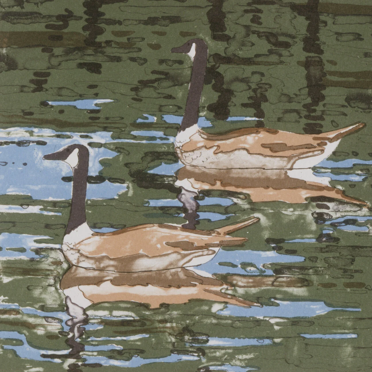 Canada Geese