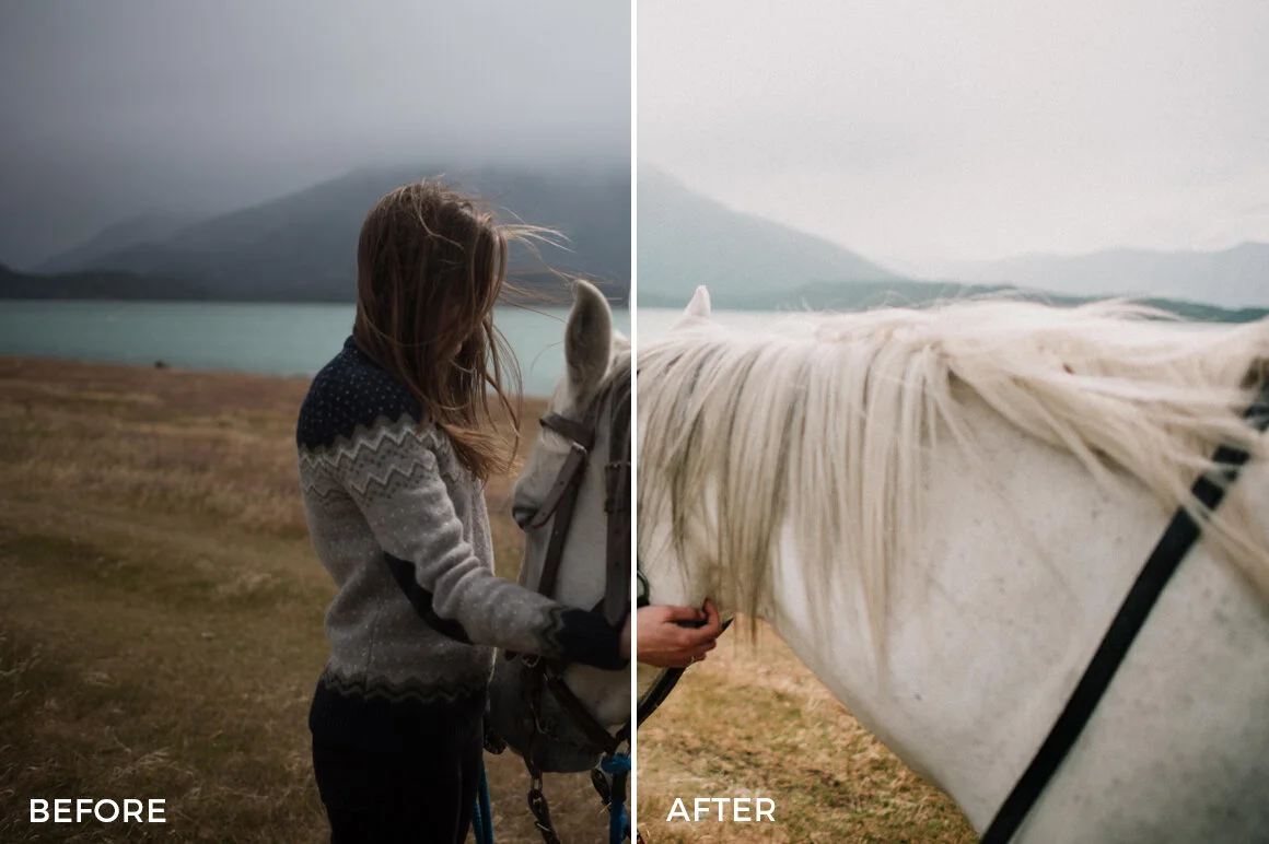 8-NEW-Noel-Alva-Lightroom-Presets.jpg