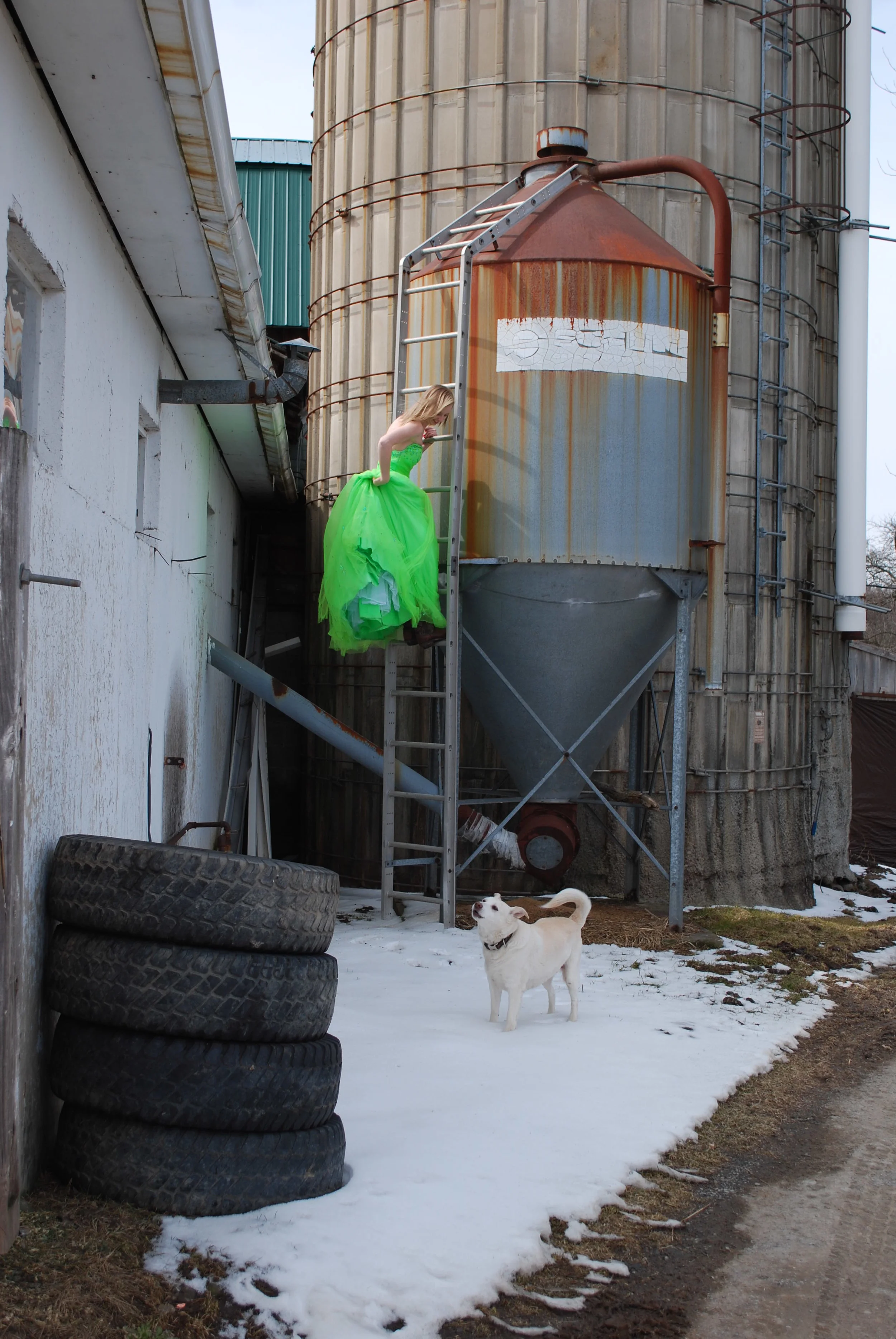  Digital Photography: Environmental portrait 