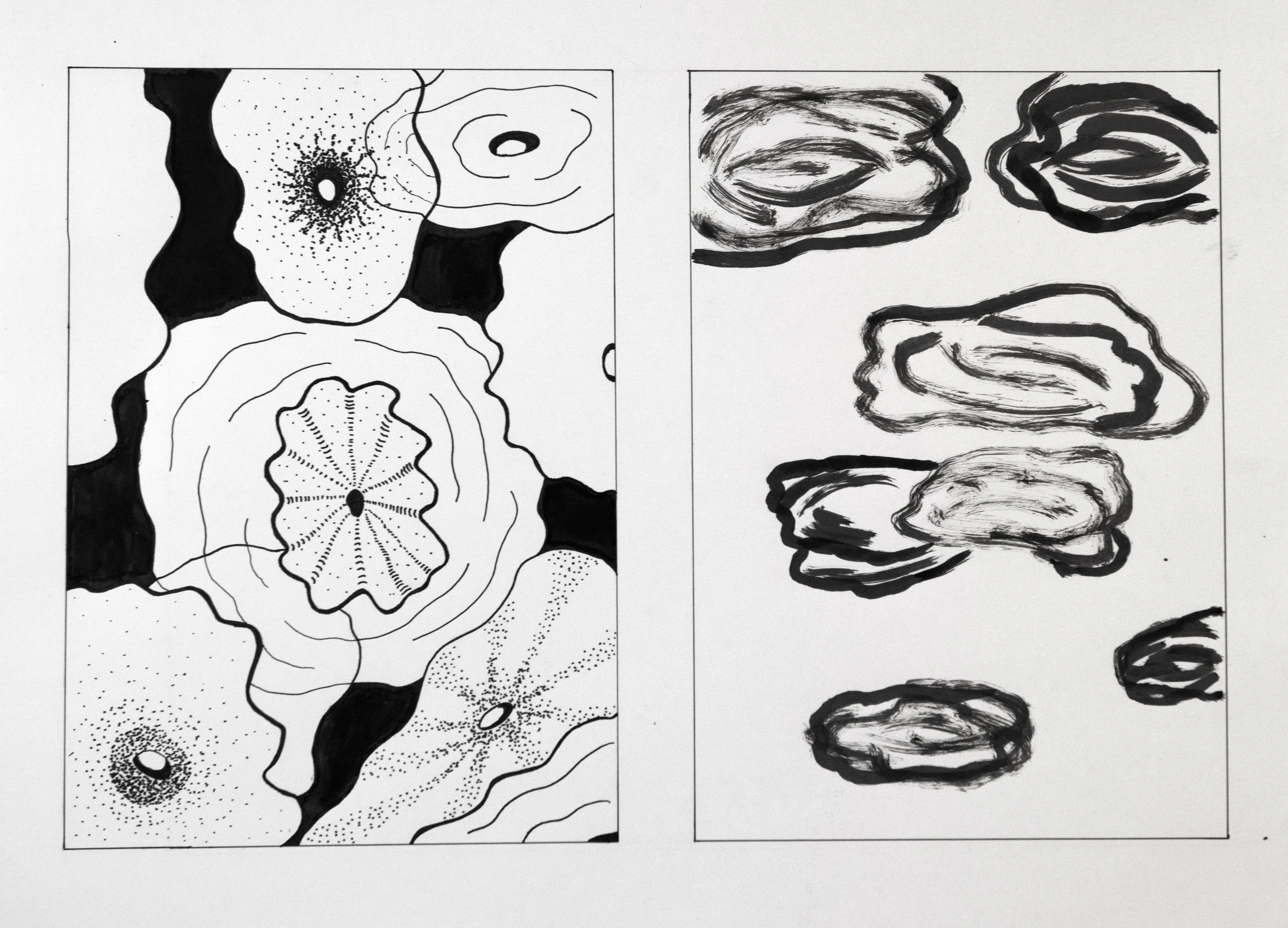  Design &amp; Color: Biomorphic Shapes 