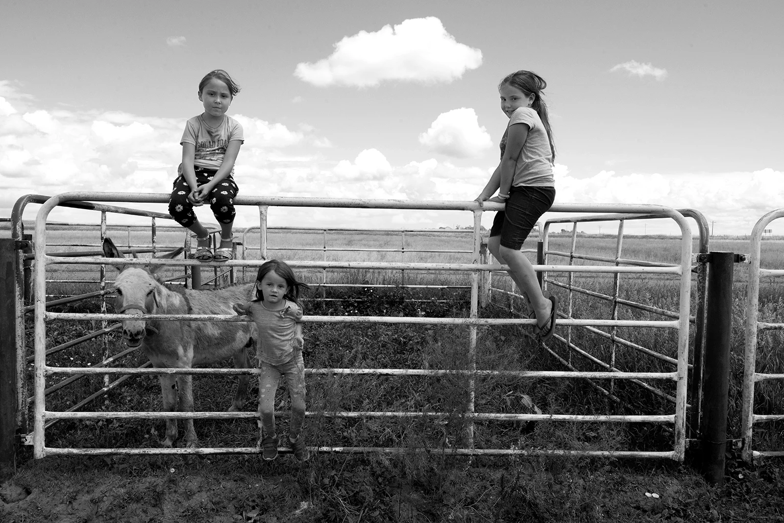 14girlsonfence copy.jpg
