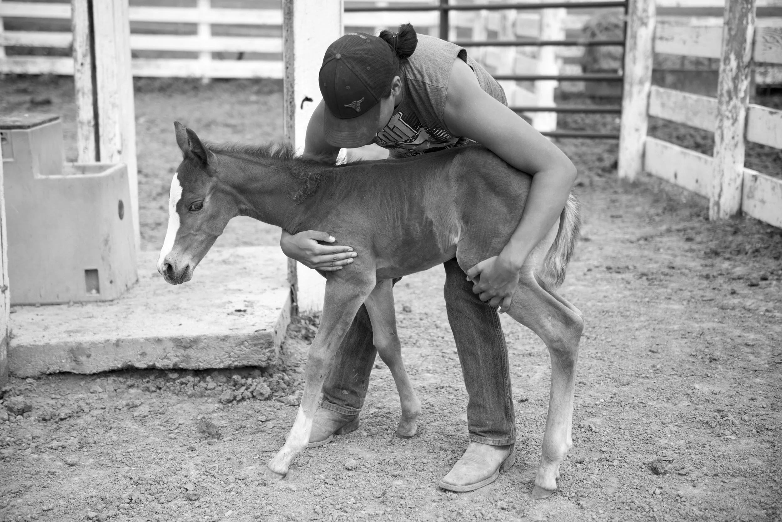 19holdingfoal.jpg