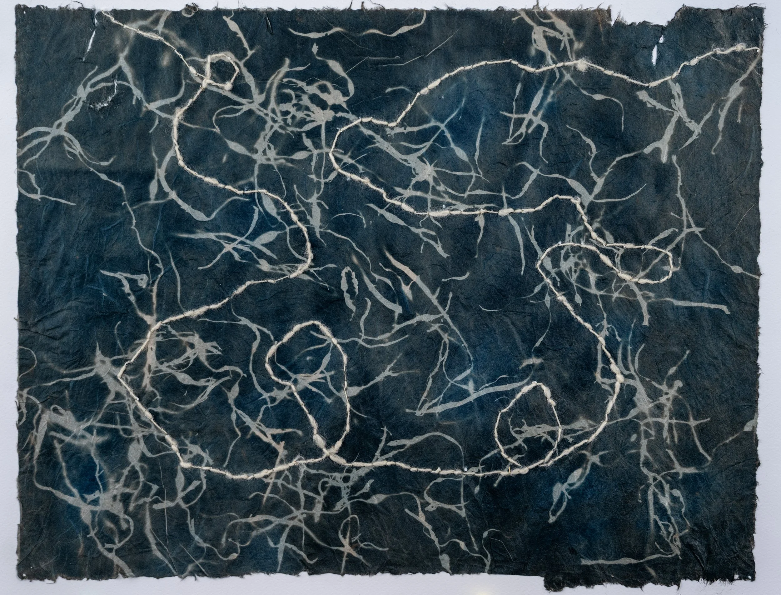 Seaweed