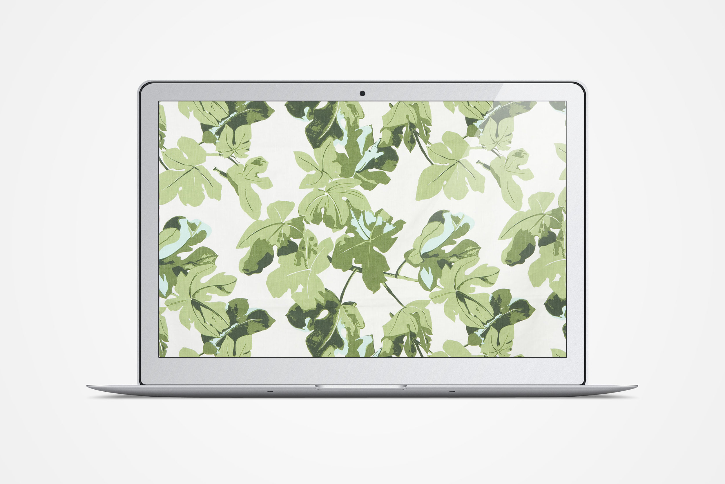 CLOTH & KIND Interiors // Peter Dunham