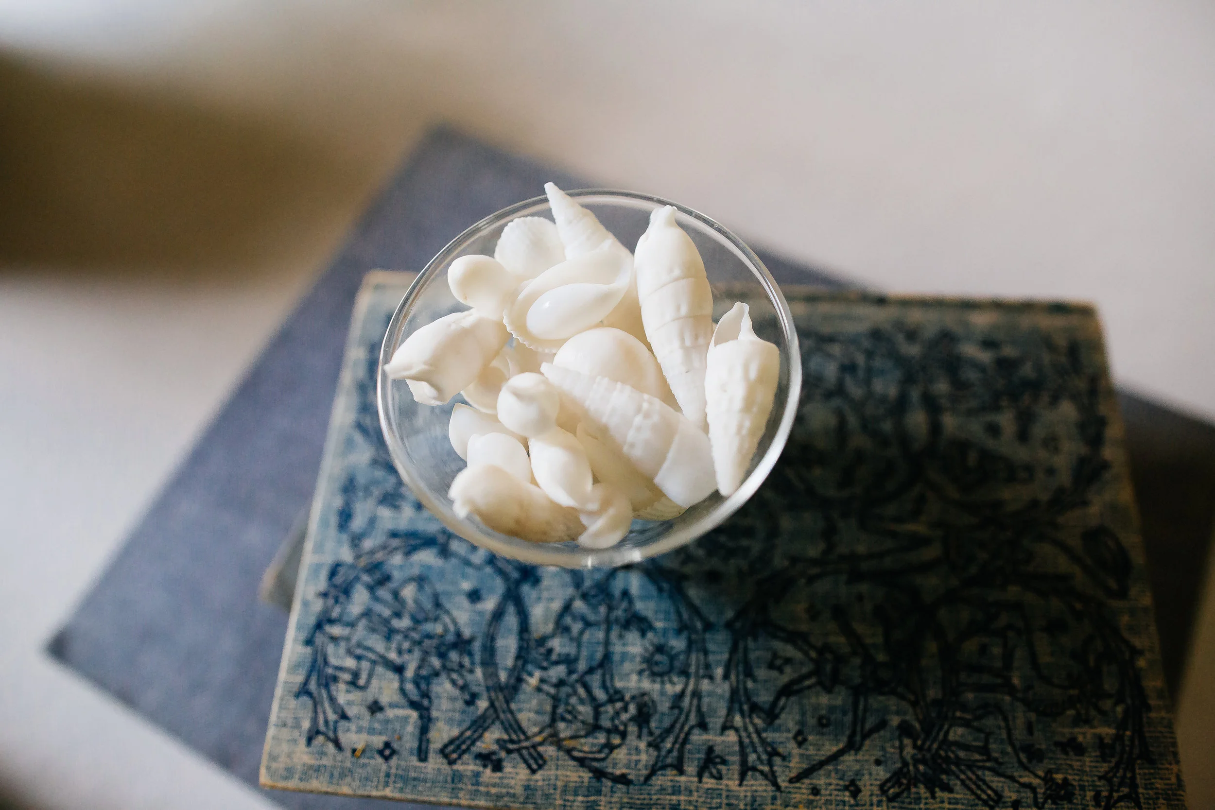 CLOTH & KIND :: Portfolio.jpg