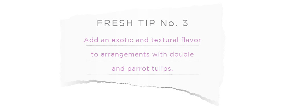 tips_02.jpg