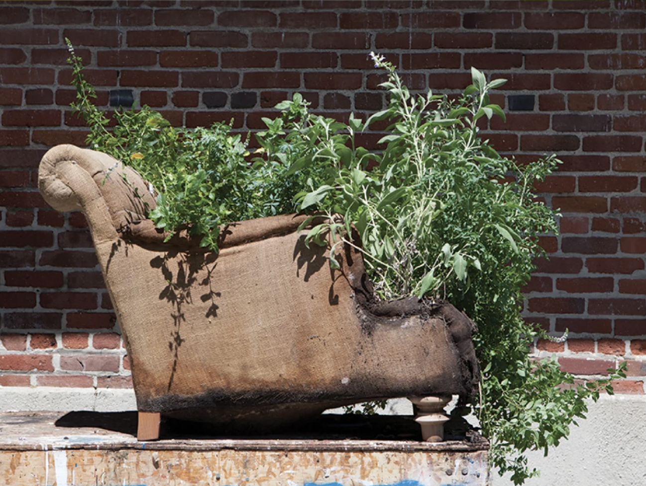 CLOTH & KIND // Sourcing Quality