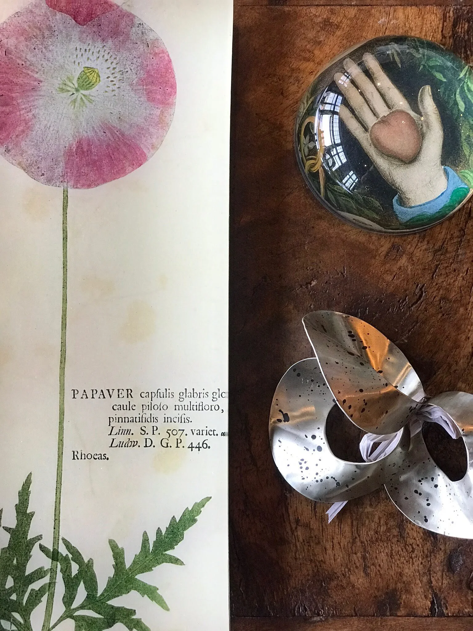   accessories   LITTLE BLACK BOOK 