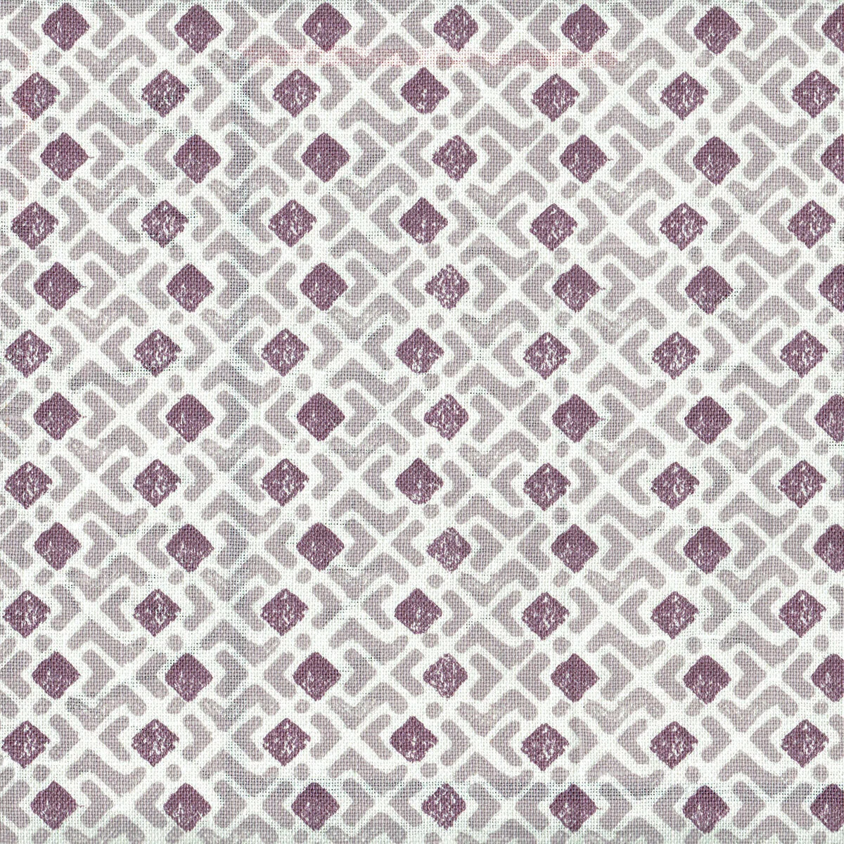 katie_leede_bundi_crocus (1).jpg