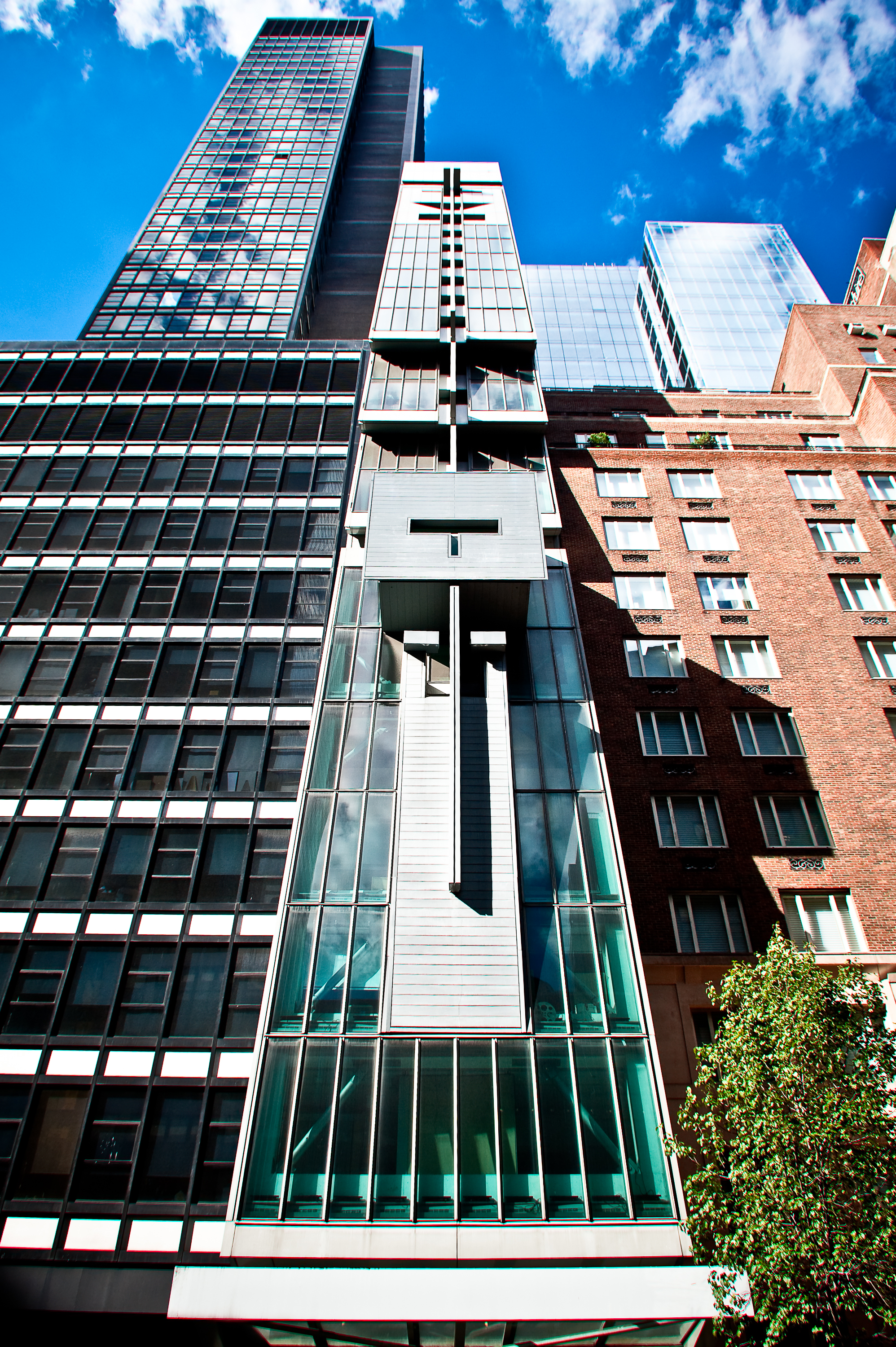 Austrian Cultural Forum New York. David Plakke.