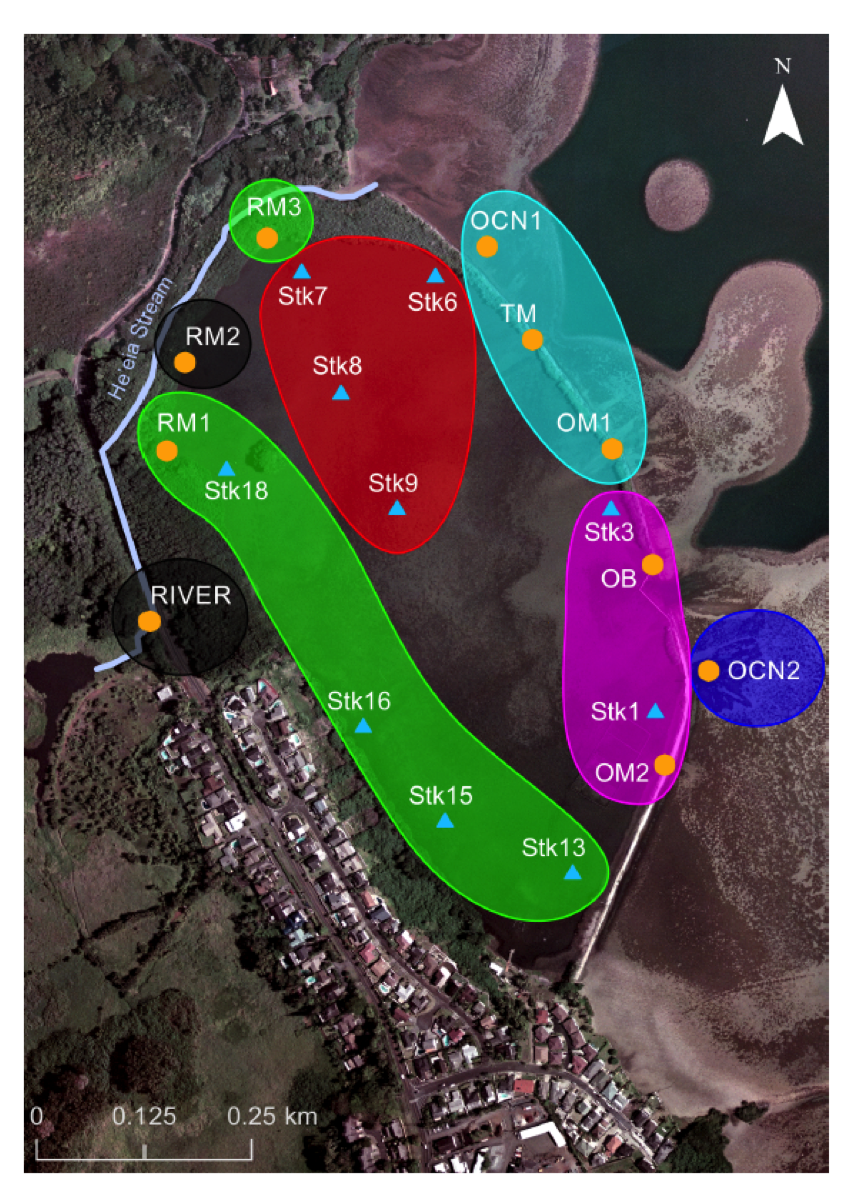 Fig. 1. Spatial distribution of pond areas with similar mean annual salinity, adapted from Young (2011). Black = freshwater, Green = terrigenous-dominated, Red = mid-pond, Cyan = ocean-dominated group-1, Magenta = ocean-dominated group-2, Blue = ocean. See Young (2011) for further description of methods and discussion 