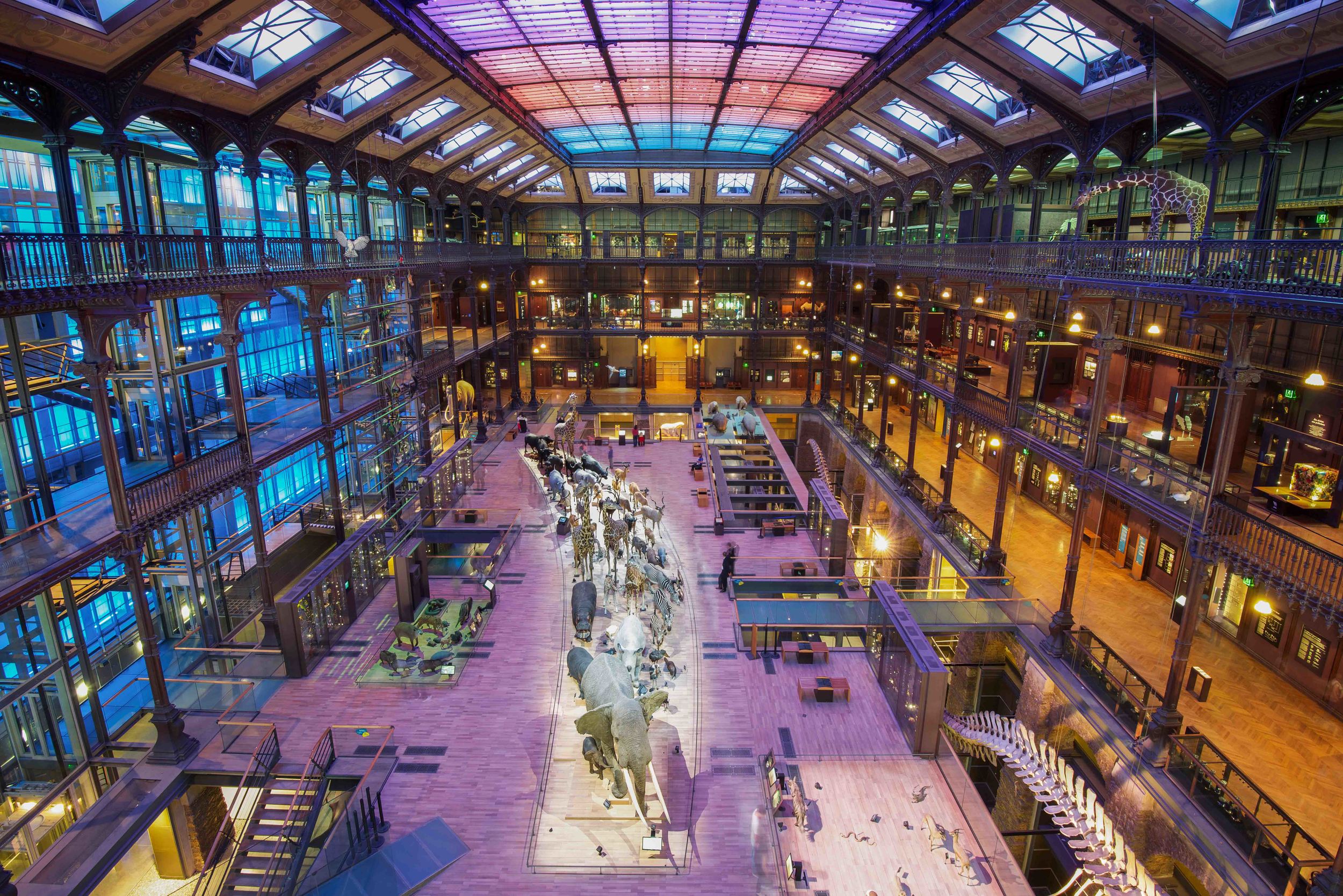 Muséum National d'Histoire Naturelle | Paris, France