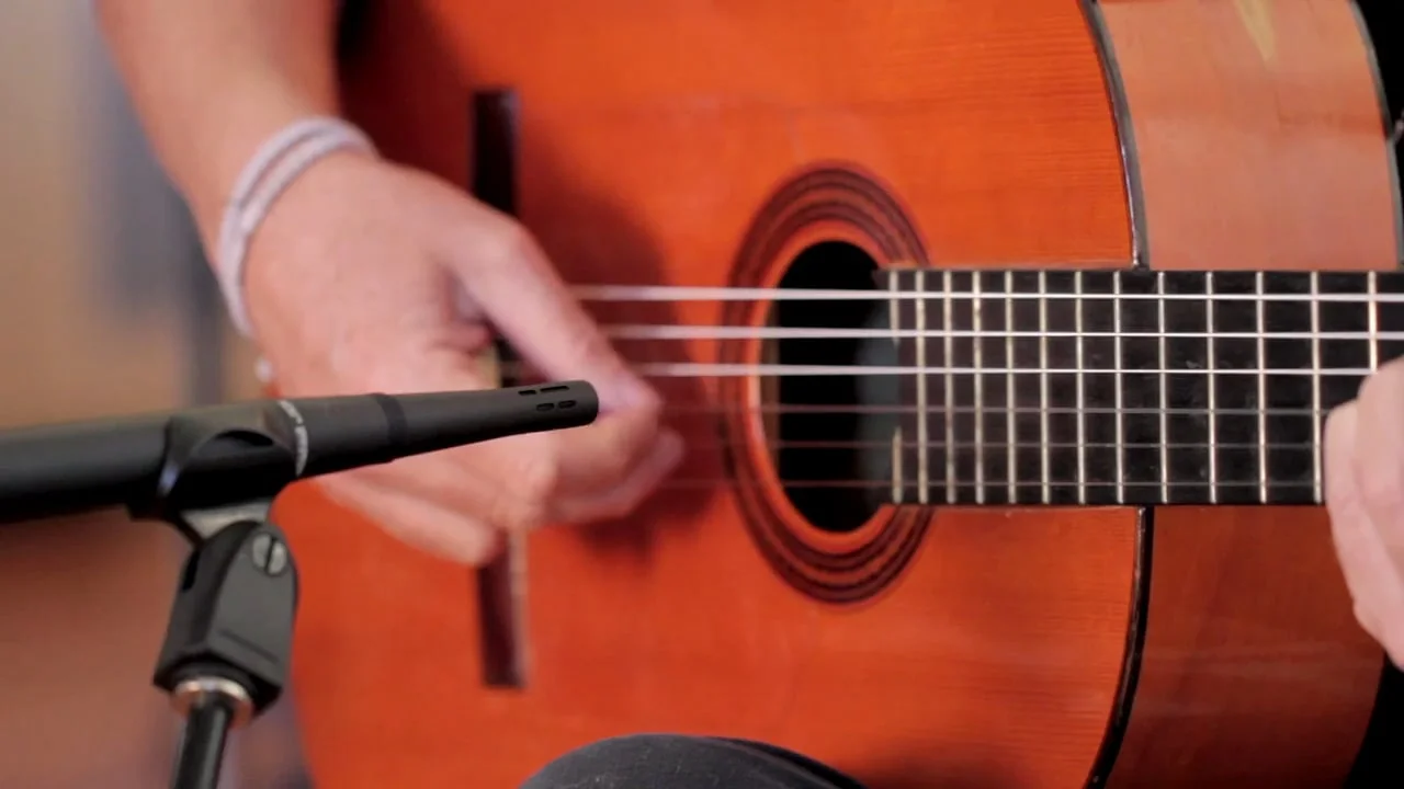 Earthworks SR20.  One microphone.  Infinite possibilites.