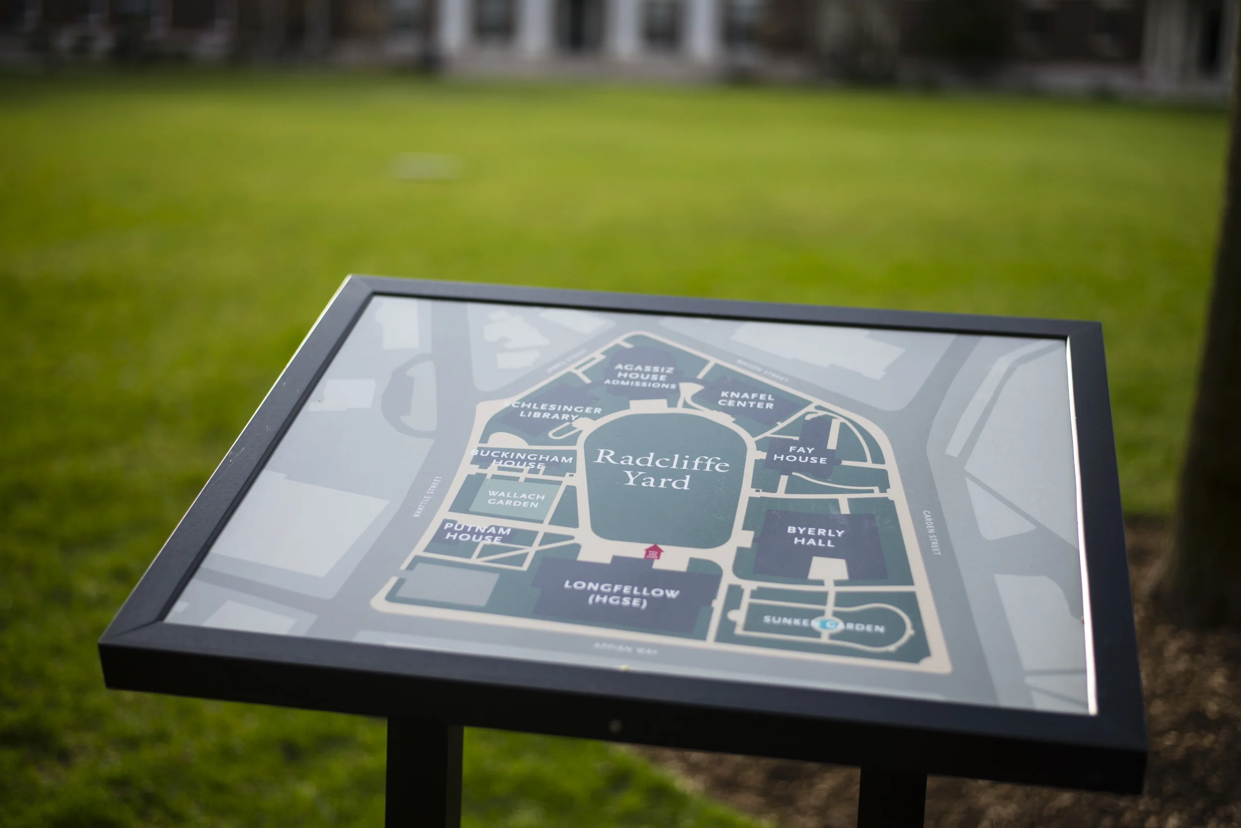 Harvard Radcliffe Yard