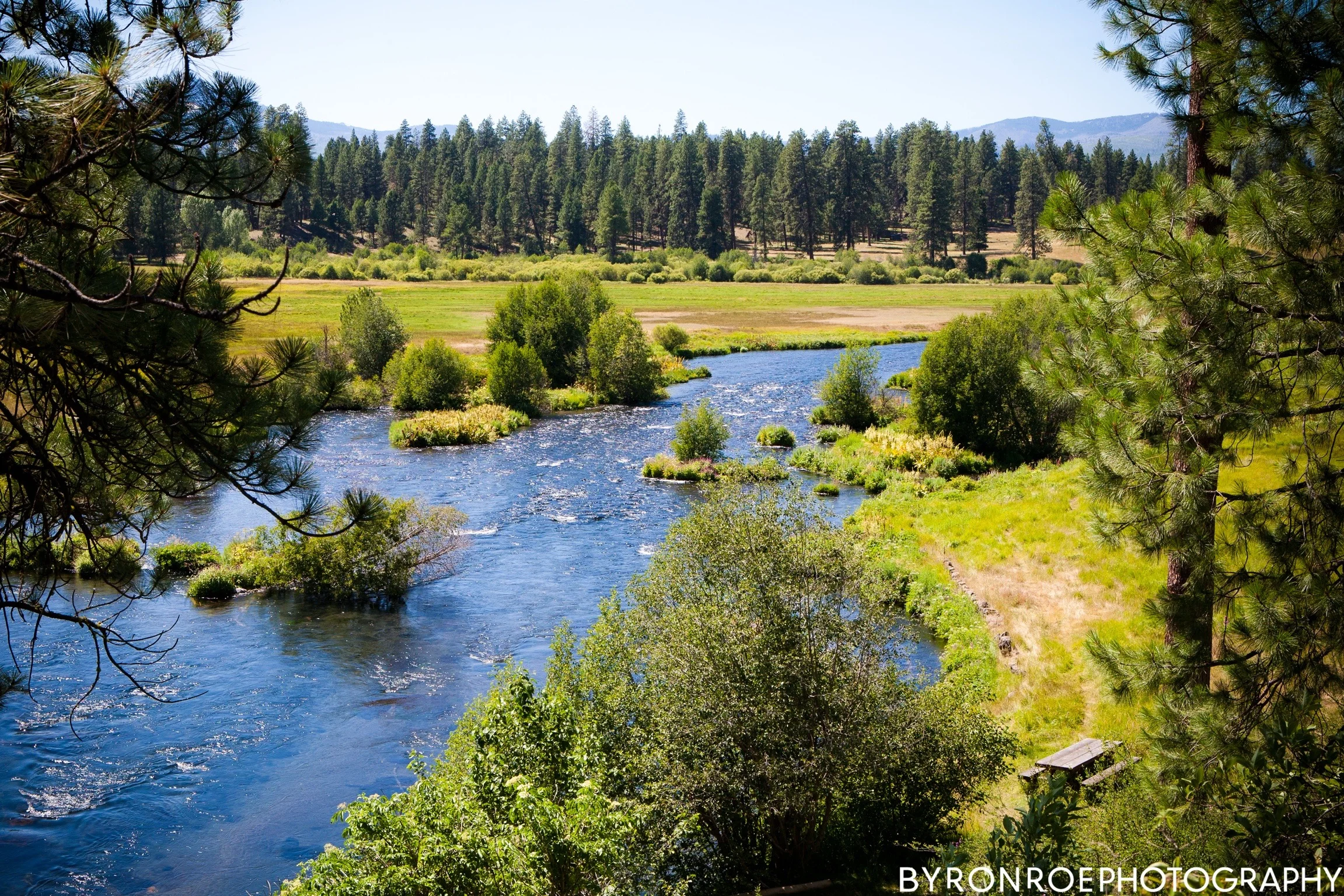 byronroephotography-houseonmetolius-caseydamon-wedding2012-high-41.jpg