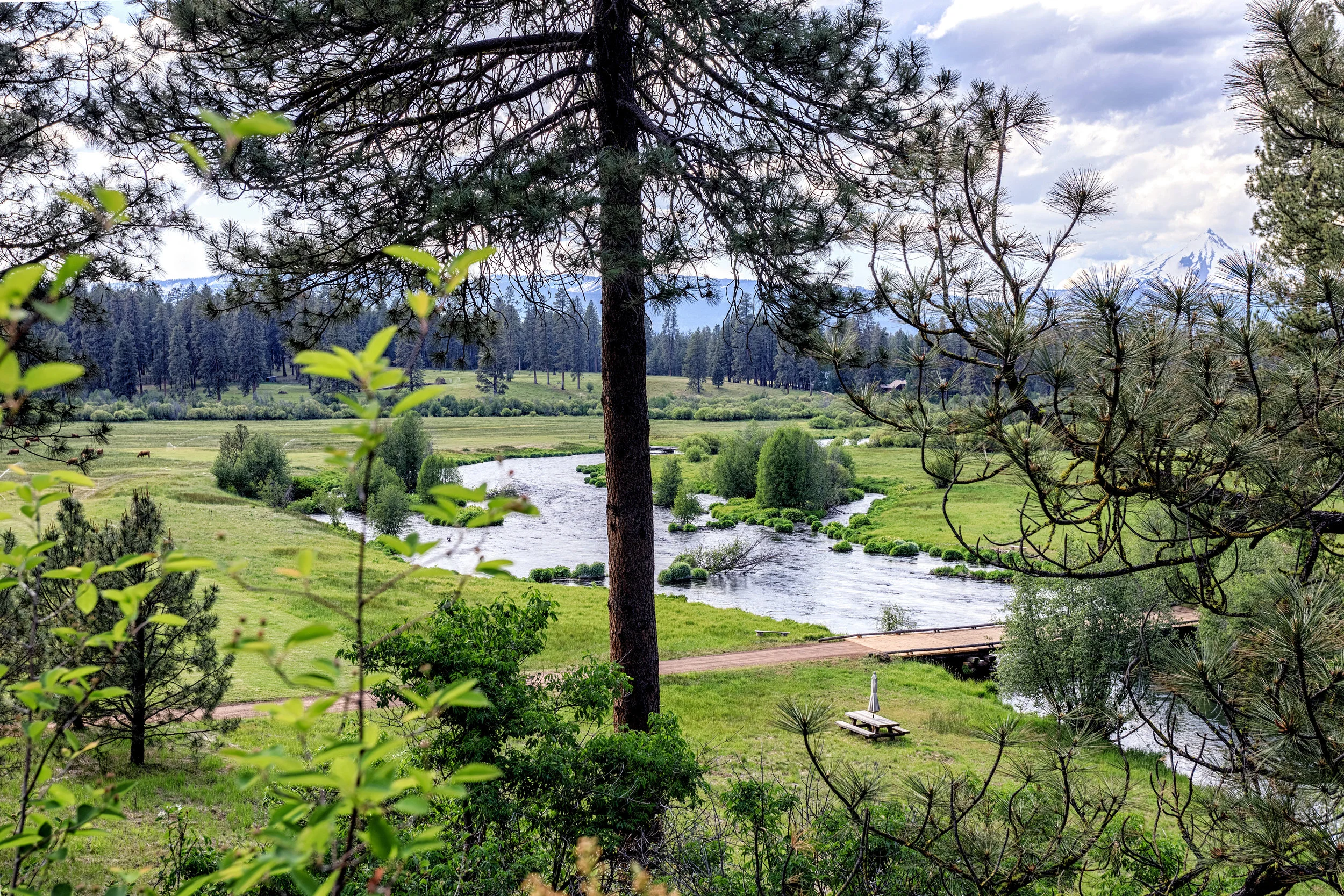 Eleanor Meadow View Nord1614.jpg