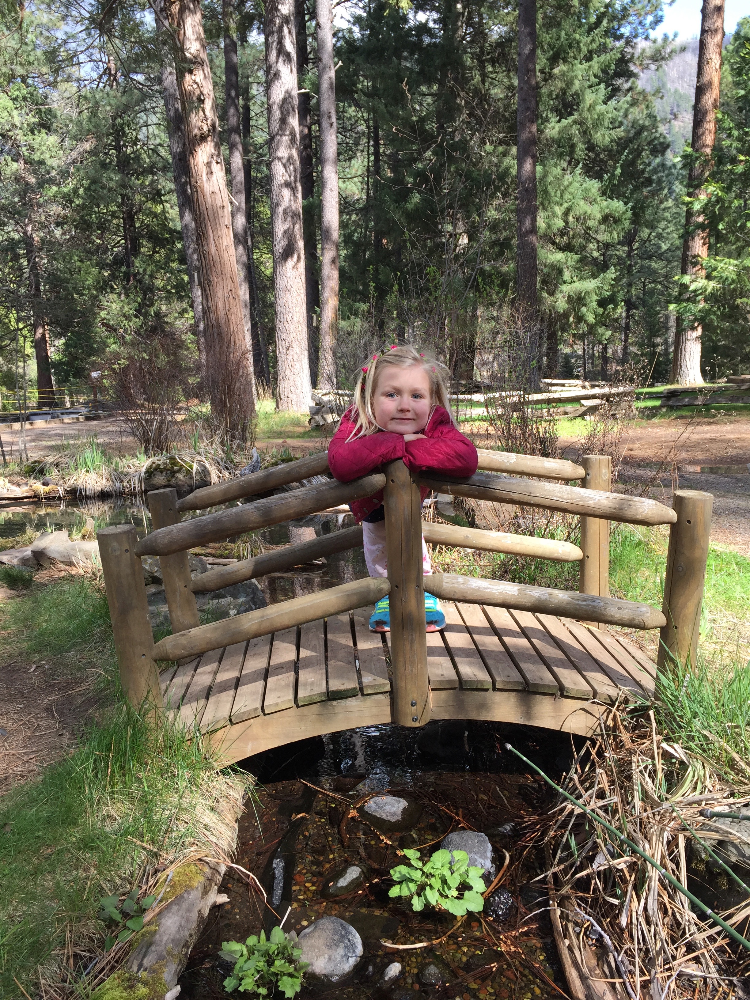 Walk or drive down river to the Wizard Falls fish hatchery, where you can feed enormous trout and observe schools of thousands of fingerlings (baby trout). A great day-hike or short drive from House on Metolius.