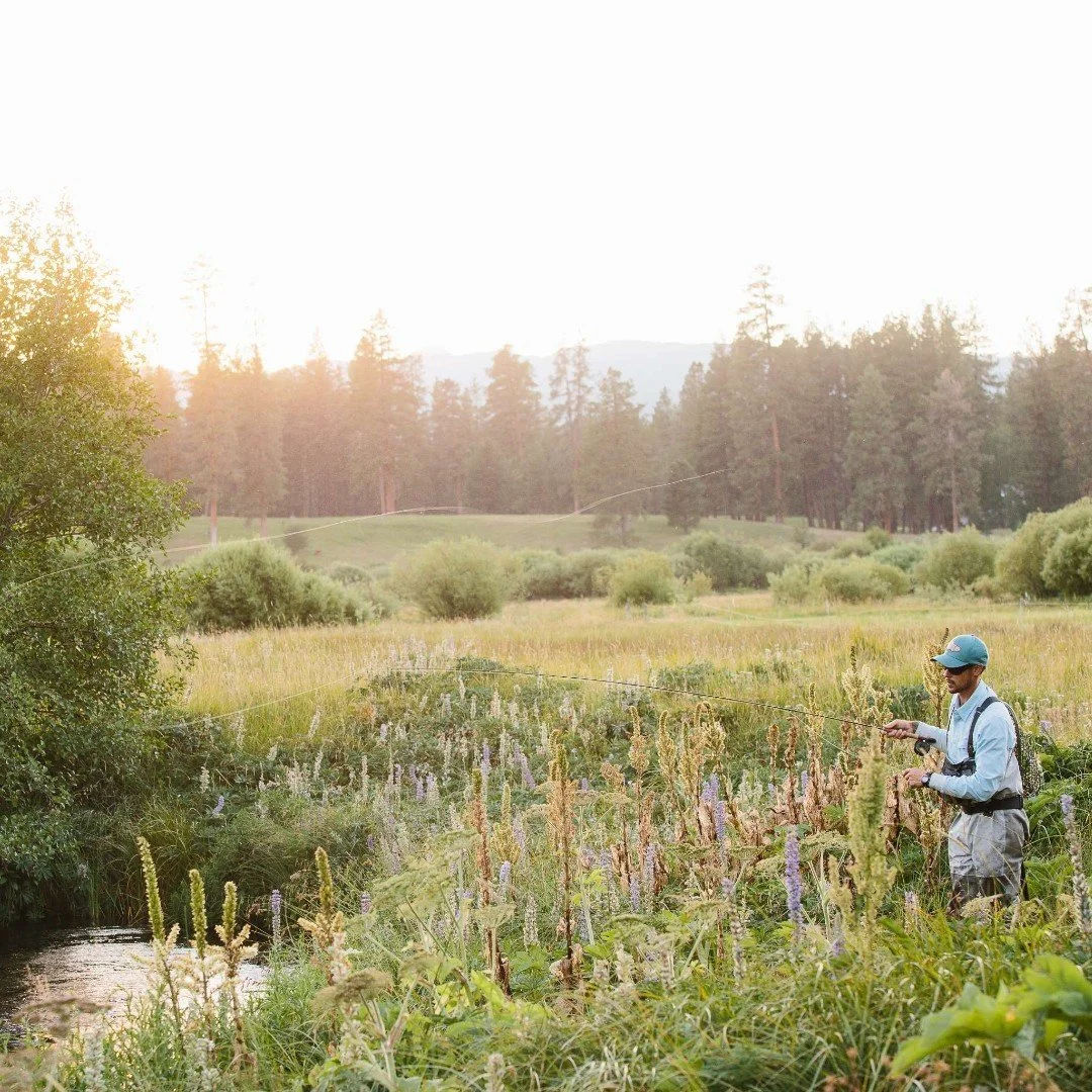 Bull Trout Fishing on the Metolius River

Experience the thrill of fishing for Bull trout, one of the most elusive freshwater species, on the pristine Metolius River. Thanks to conservation efforts, the Bull trout population here thrives, making it a