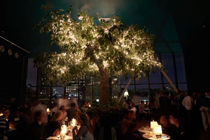 Casa Cruz at Spring Studios