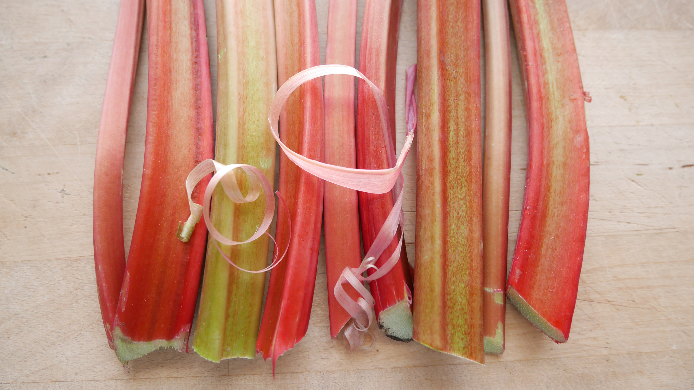 Spring rhubarb
