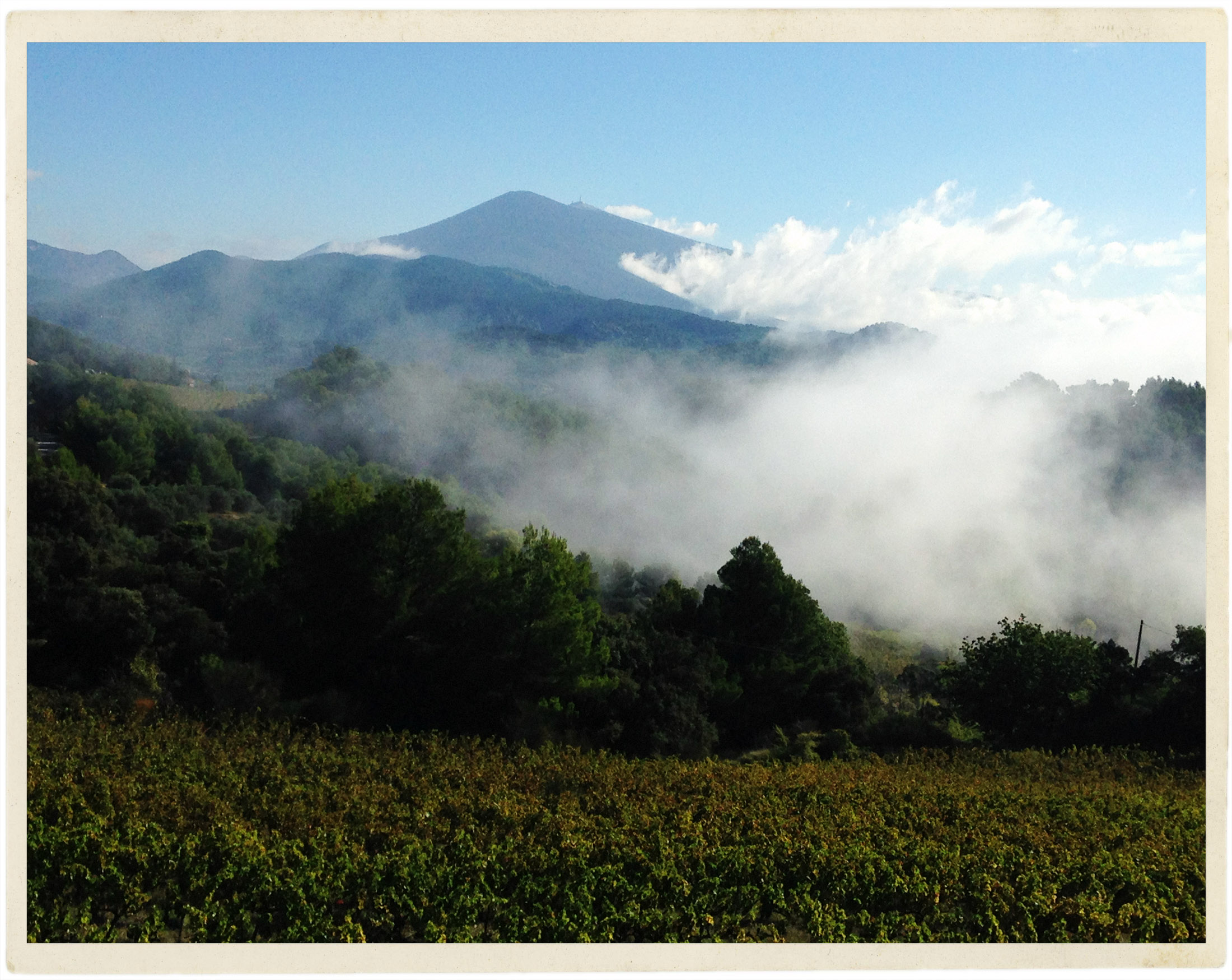 Morning mists.