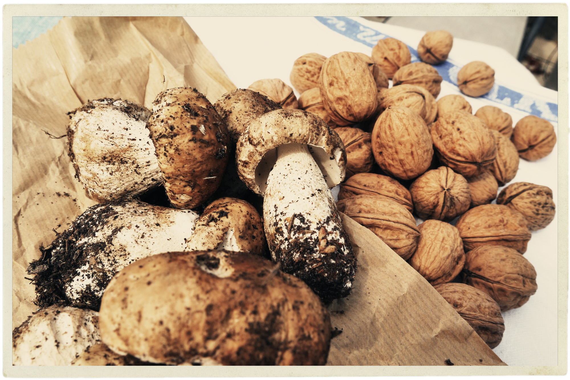Autumn in Provence means walnuts and cèpes.