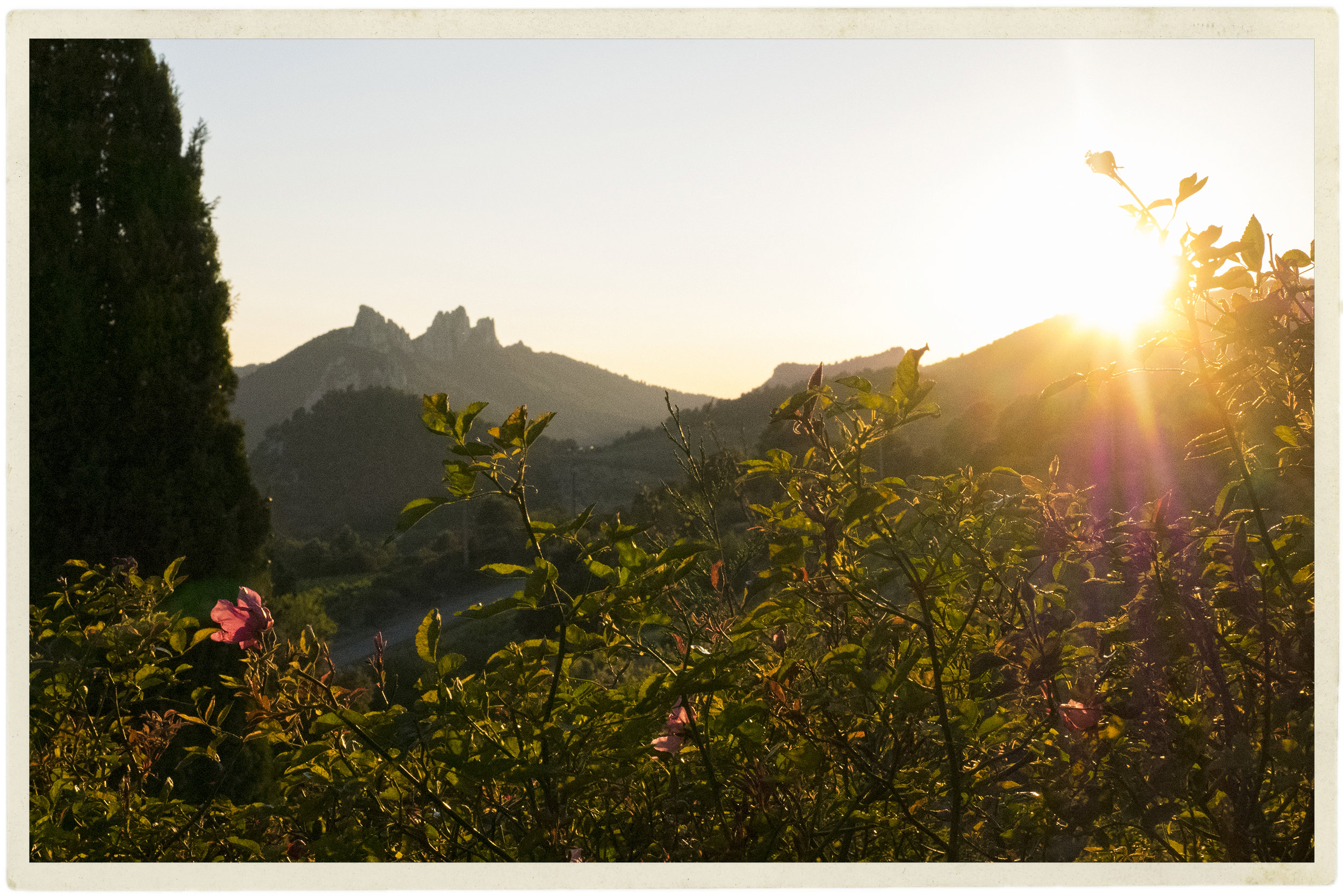 Dentelles sunset.