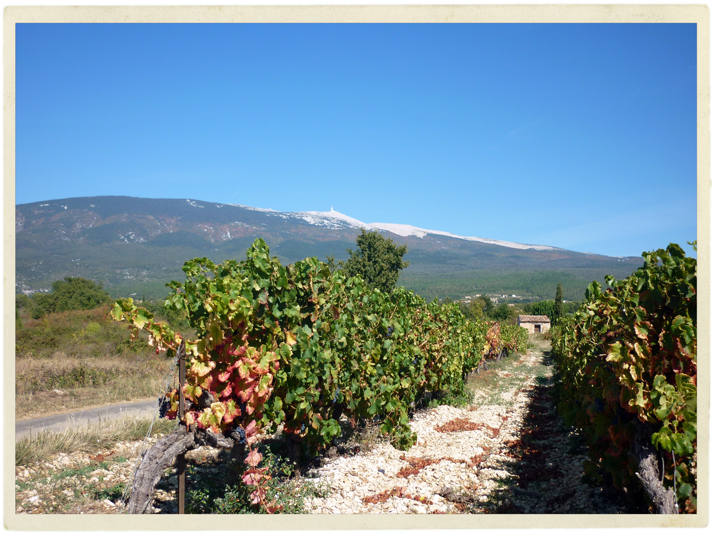 Ventoux2.jpg