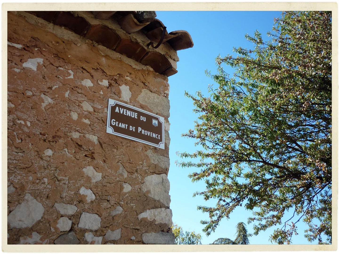 The Geant de Provence is the most beautiful of giants.