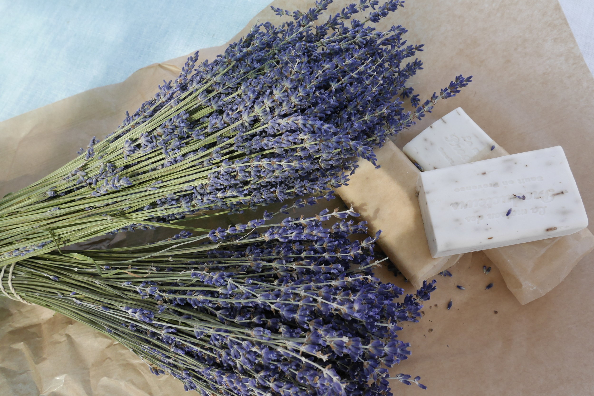 Sault lavender, a piece of heaven.