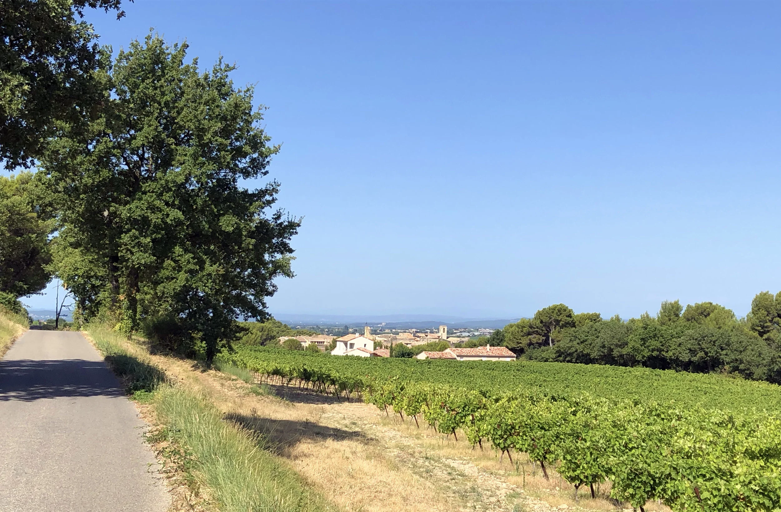 Beautiful Sunday cycle with Buisson in the distance.