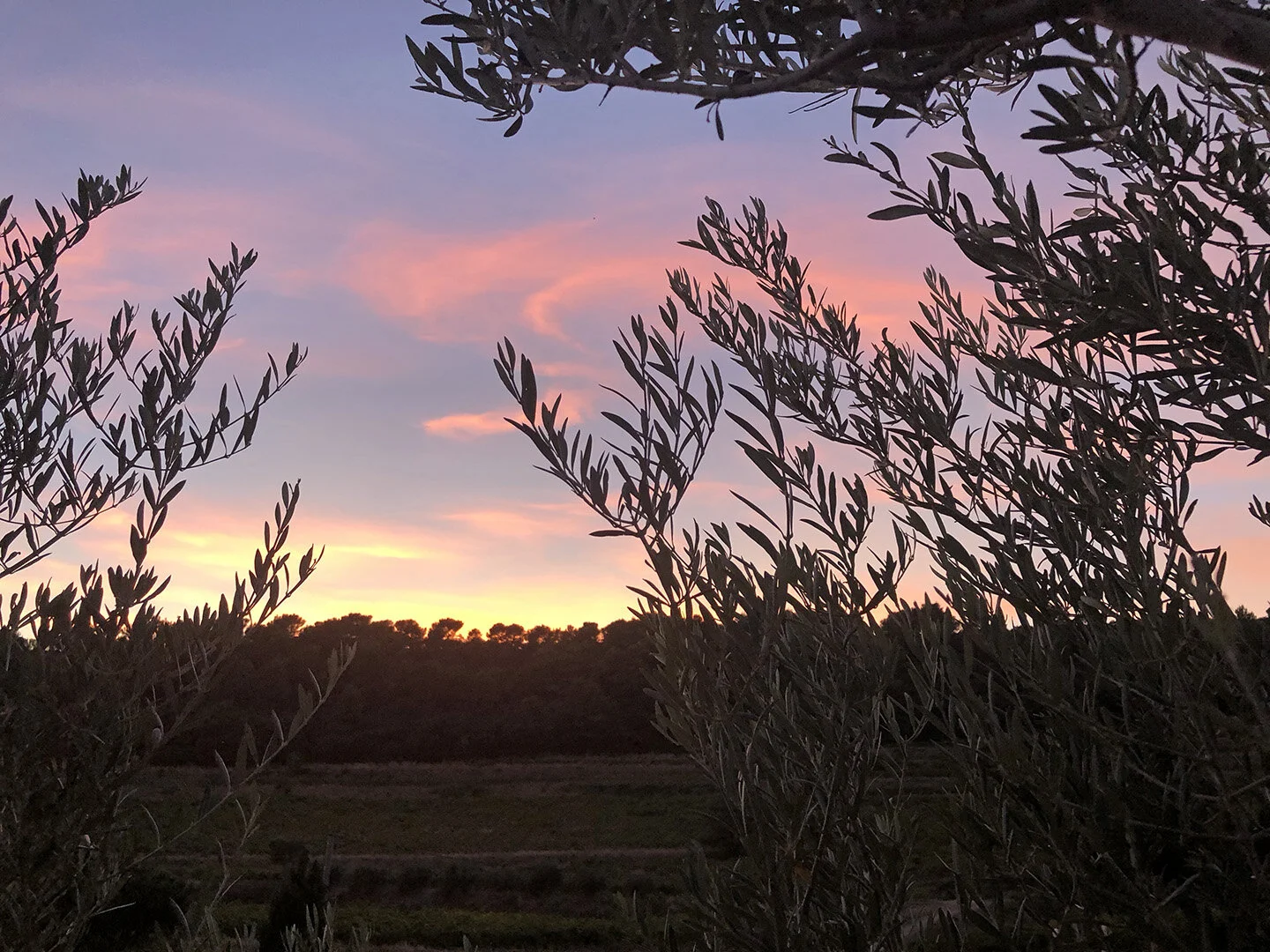 Goodnight my beautiful Provence.