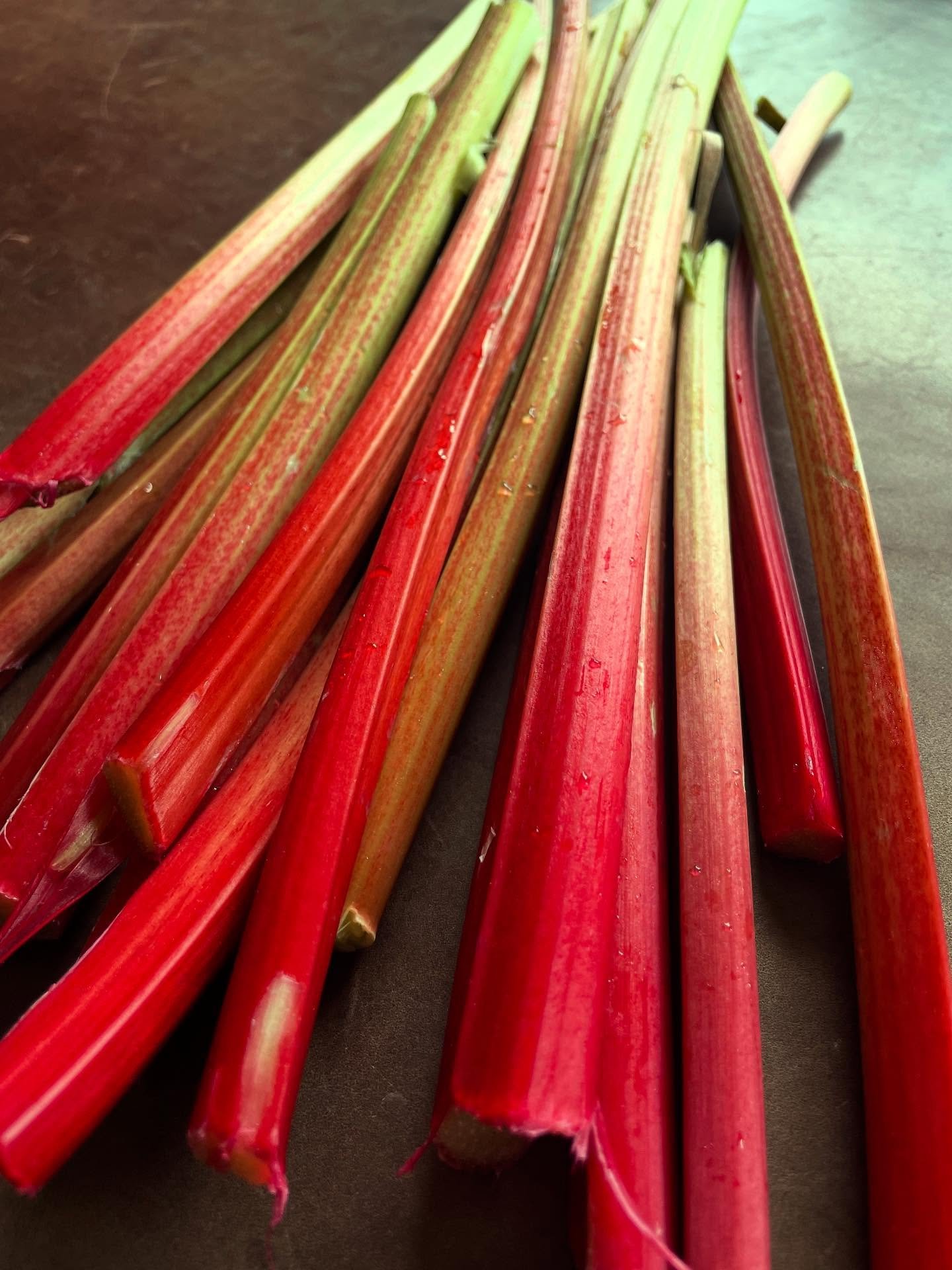 A little urban foraging: alleyway crop of rhubarb!