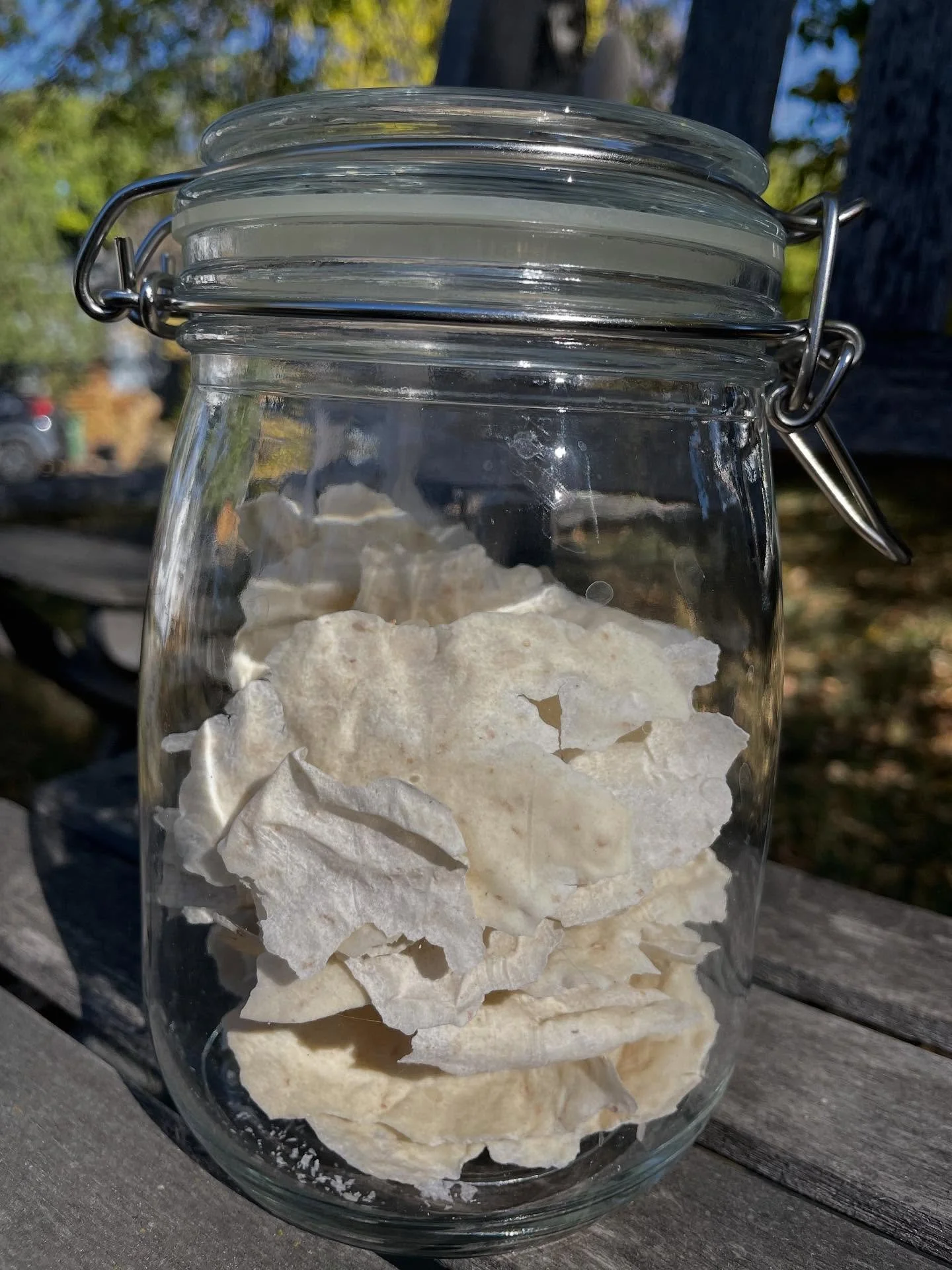 I wanted to bring back my thriving sourdough starter from France. I tried the drying method and it worked amazingly well. It came back to it&rsquo;s full bubbly life within two days of rehydrating it. This round of focaccia turned out amazing 😊 Now 