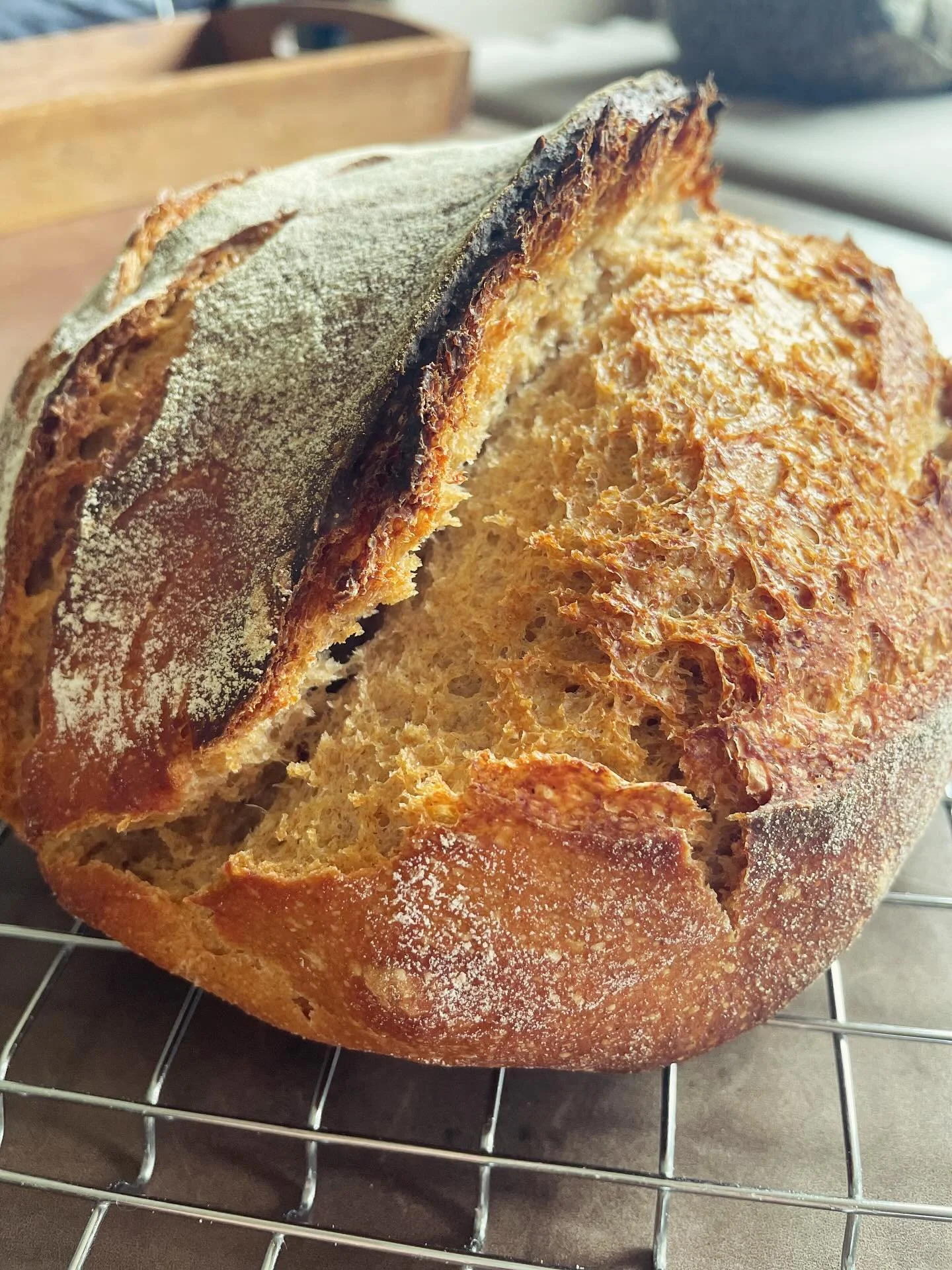 Continuing on with my experimentation. This is a no-knead version and it turned out great! Tomorrow I get new flours from @harvestmoonmills and I cannot wait to try them! #sourdough #sourdoughbeginner
