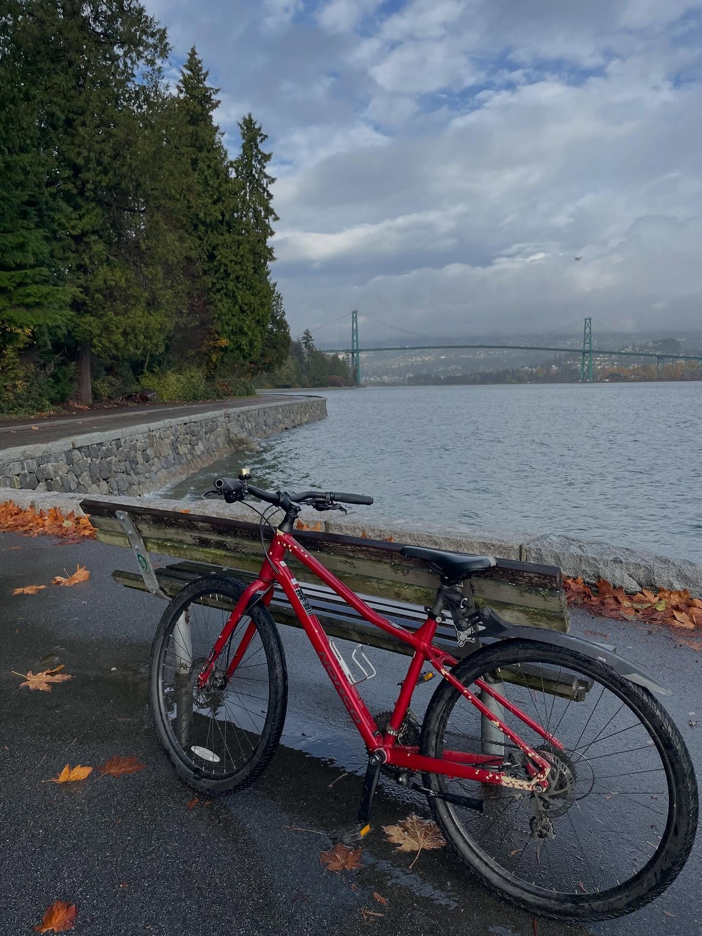 Autumn 🍂 still in full swing in Vancouver. Even saw a tiny bit of sun. Still so beautiful if a bit soggy.