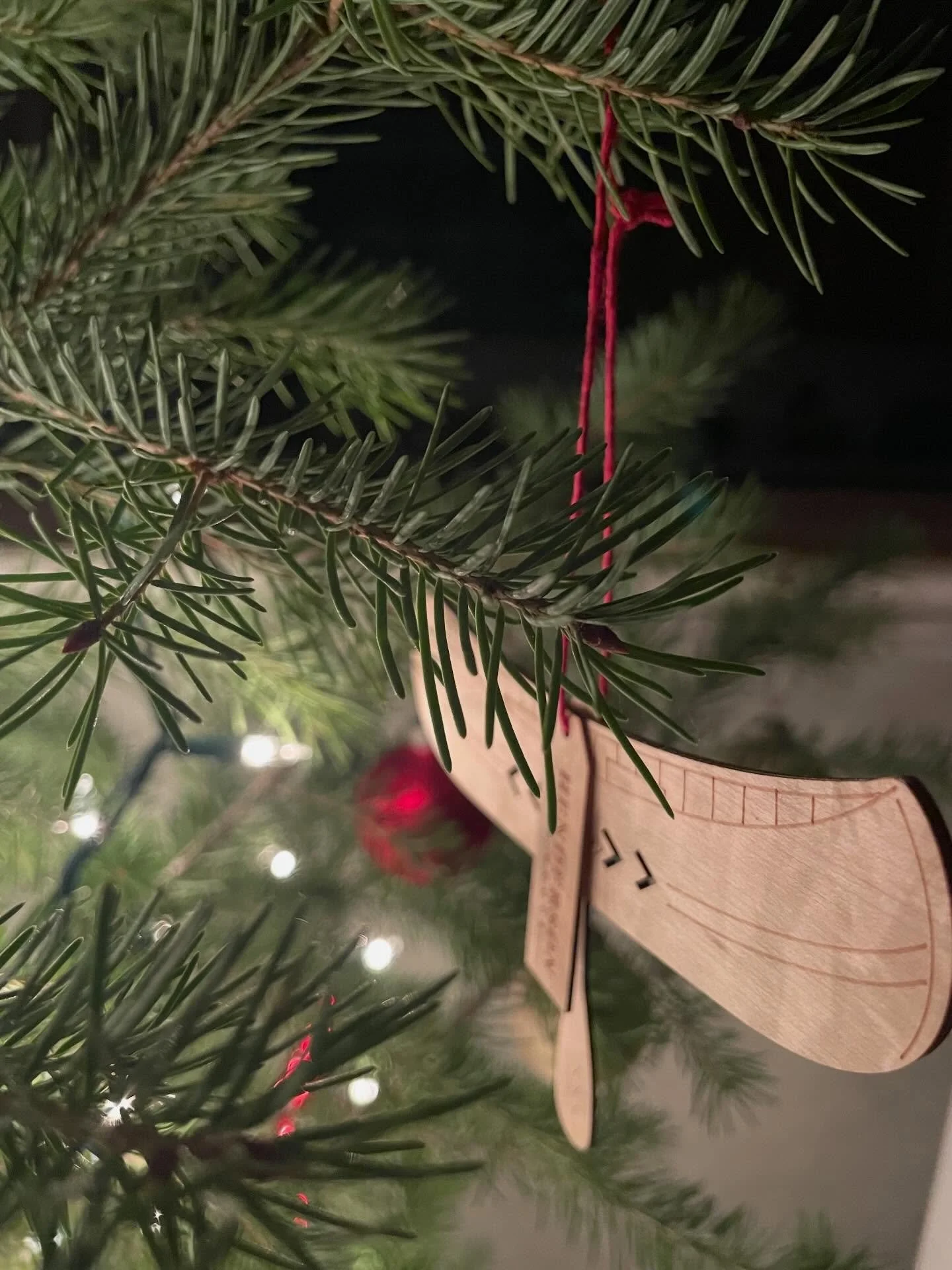 Some of my favourite ornaments. Only 2 more weeks before the days start getting longer. We need the twinkly bits to help get us there🎄