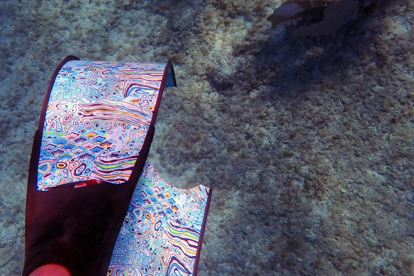 Finally a day out on the boat, but the port is closed again today. What strange weather. Got to use my long new fins, and they were fabulous. Seeing two nurse sharks swimming together was the icing on the cake. Too bad they were quite deep, was hard 