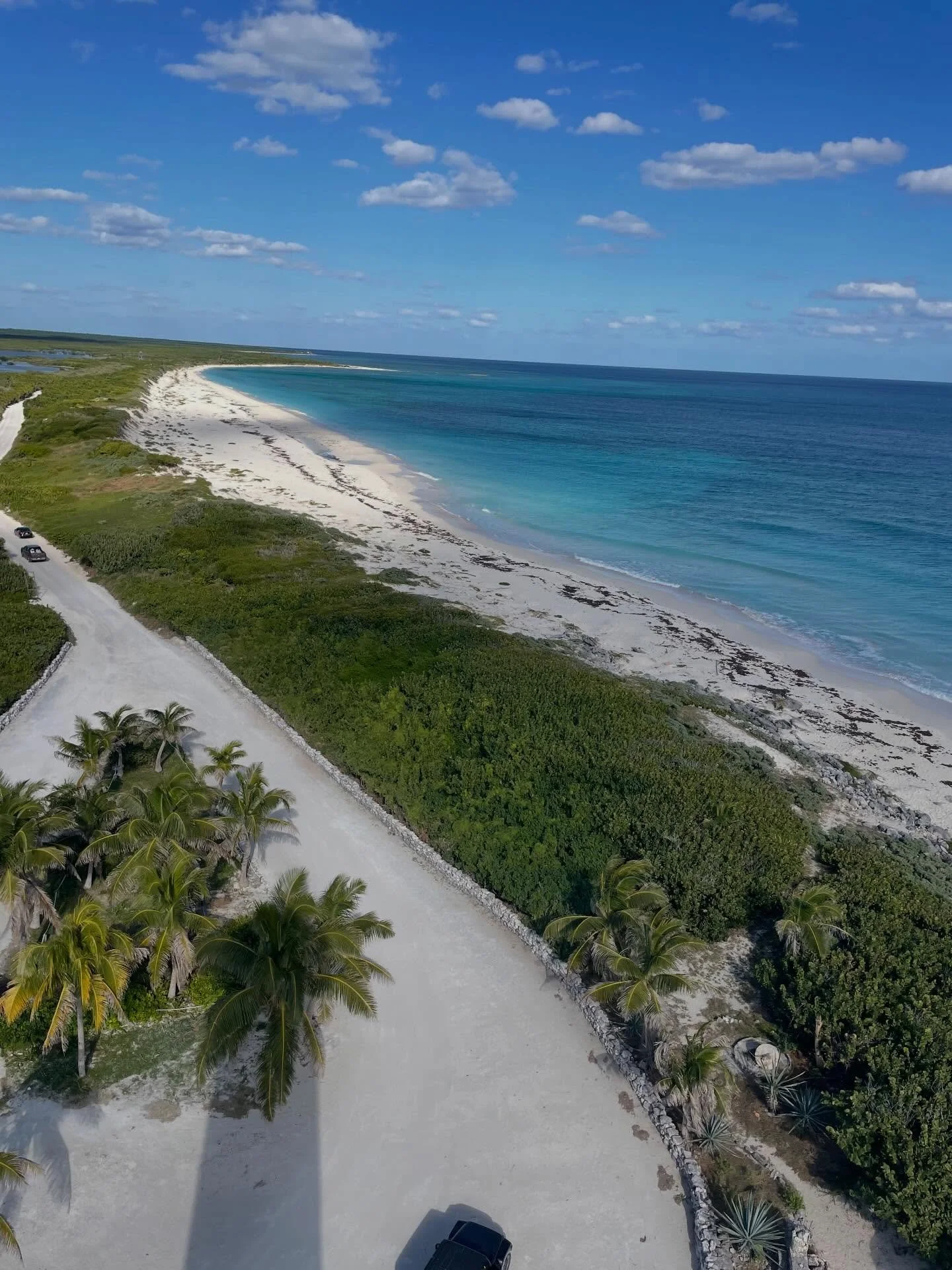 A beautiful sunny day at Punta Sur yesterday where the wind was a bit calmer. Saw two huge nurse sharks hiding under the reef 🦈 . Maybe this is the year for seeing sharks! Happy Saturday 😍