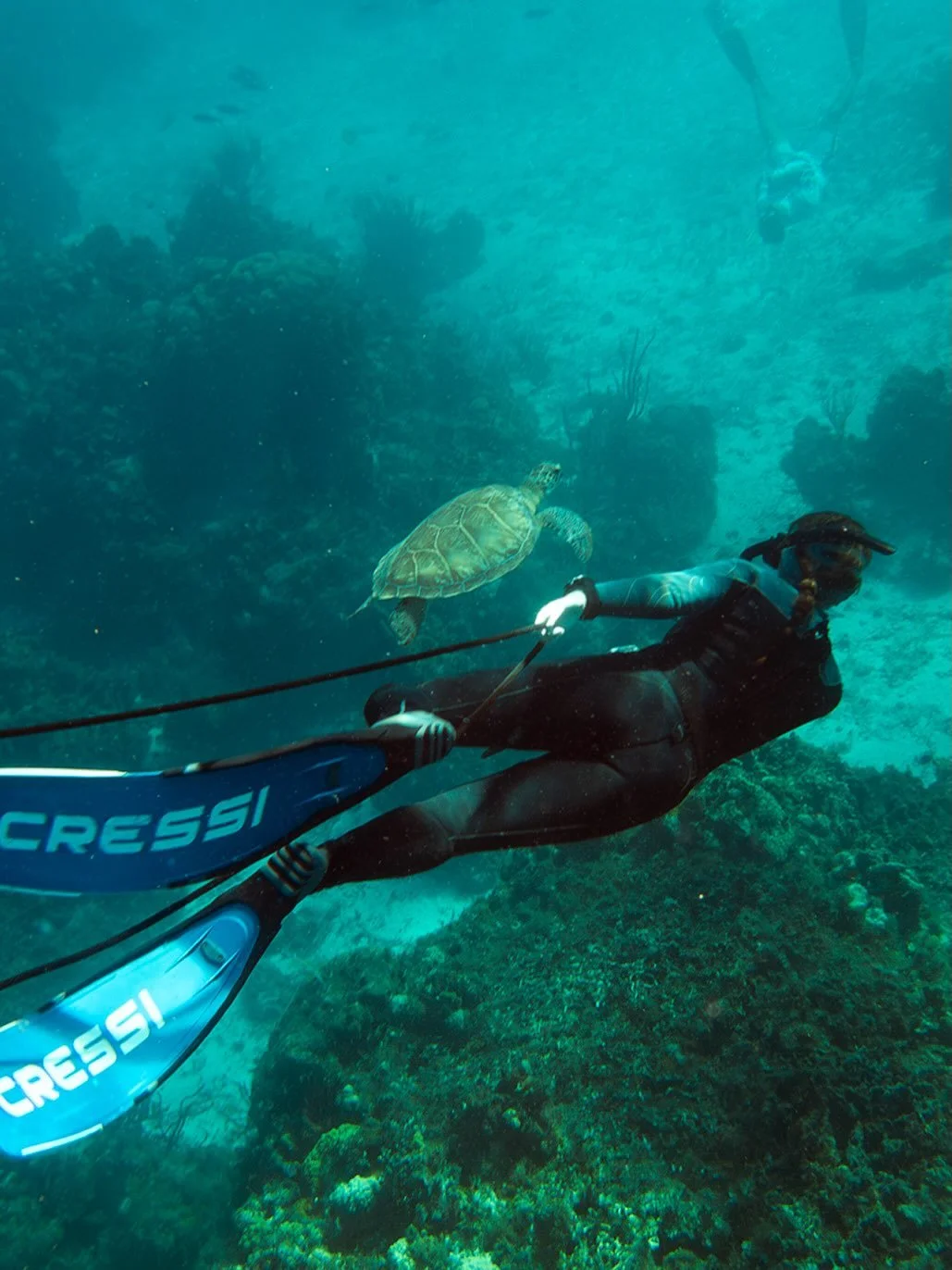 Well, finally a super lucky day: 5 turtles, a huge nurse shark, and 2 enormous spotted eagle rays. Tons of other ocean beauties, a fabulous day out with @cozumelh2o 🐡 🐠🧜&zwj;♀️
#cozumelmexico🇲🇽 #cozumeldiving