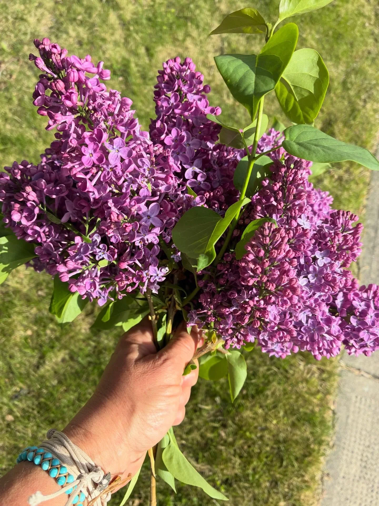The season of flower photos has begun! So very soon, the lavender&hellip; cannot wait! #flowerthief