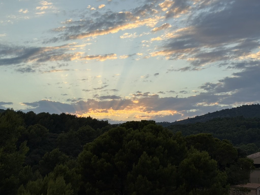 52D1AAA1-DB34-4C20-BD65-5975A14EFD9C_1_105_c.jpeg